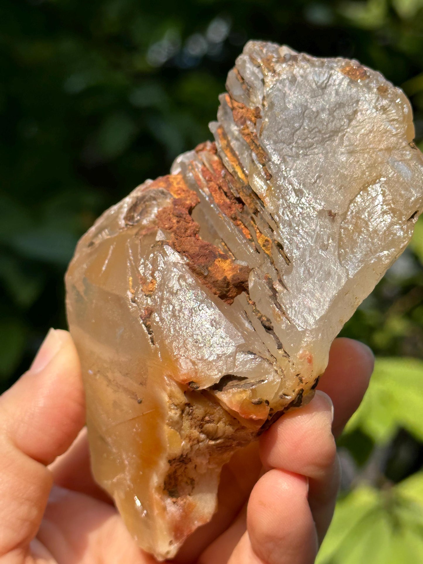 Natural Growth Interference Quartz Crystal Point with Amphibole Included/Golden Angel's Wing Rutile Crystal Specimen/Meditation Stone-359g