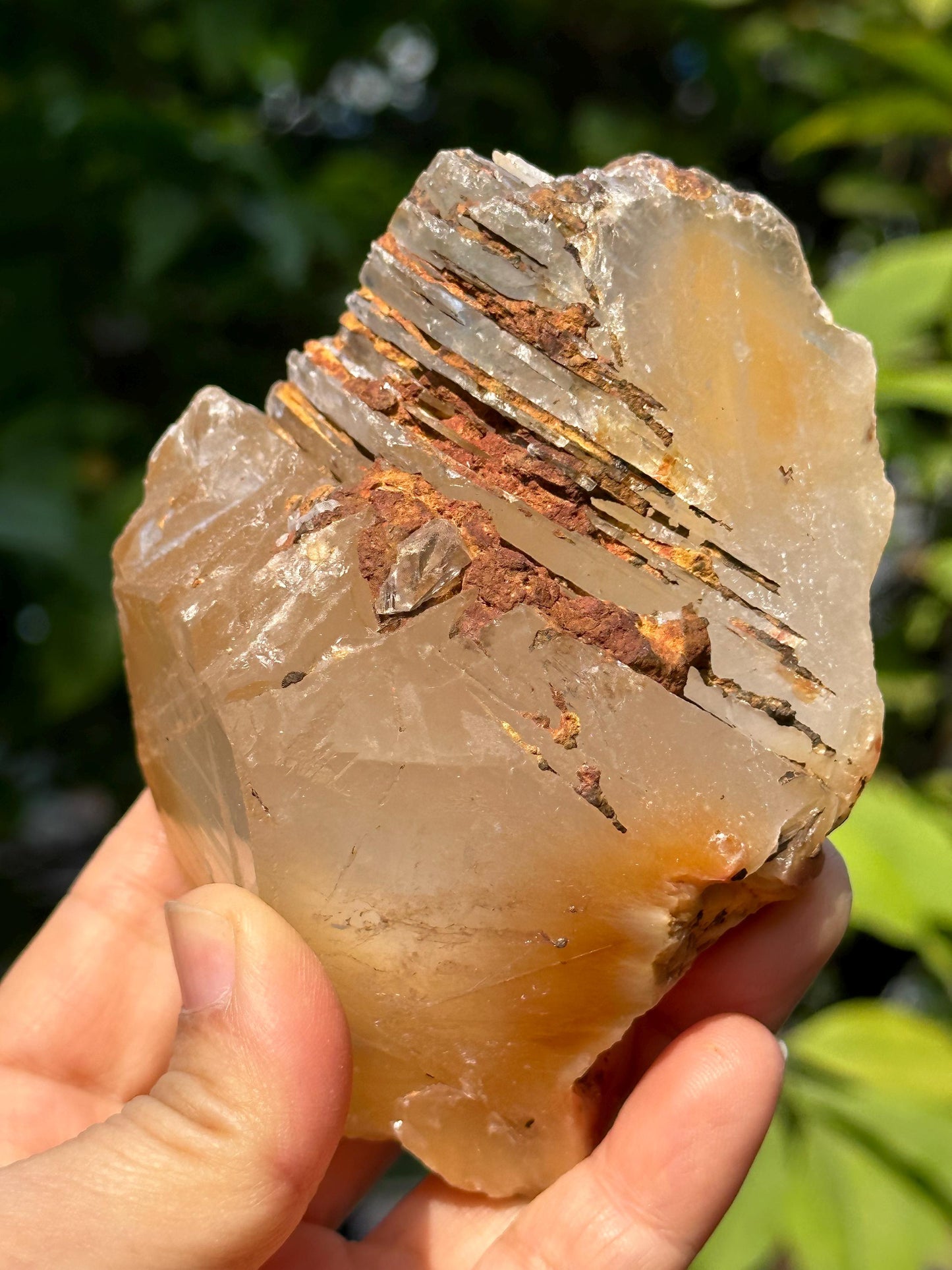 Natural Growth Interference Quartz Crystal Point with Amphibole Included/Golden Angel's Wing Rutile Crystal Specimen/Meditation Stone-359g