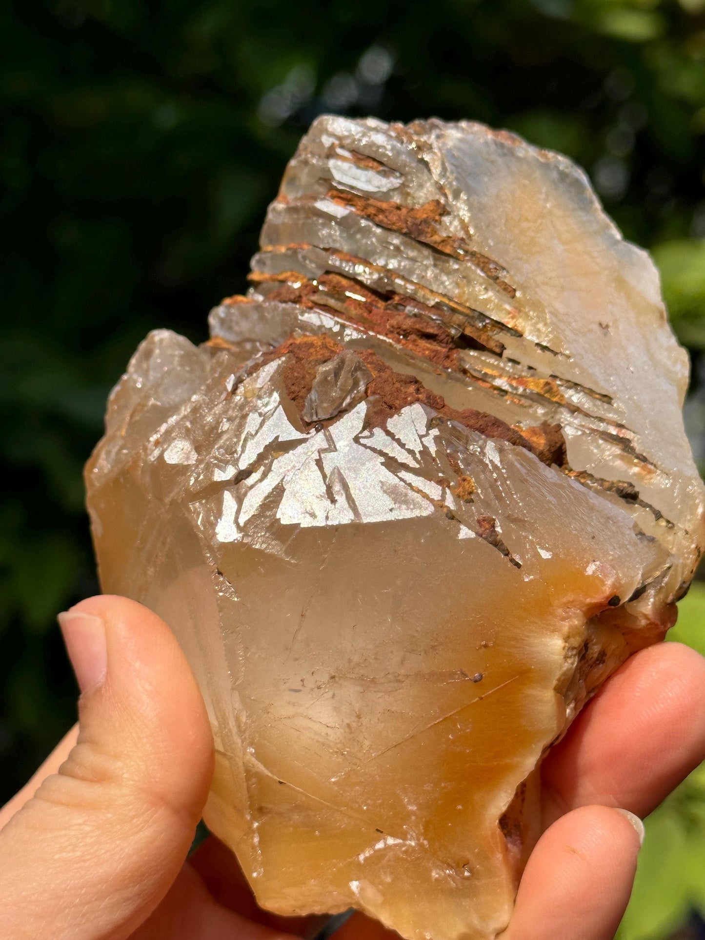 Natural Growth Interference Quartz Crystal Point with Amphibole Included/Golden Angel's Wing Rutile Crystal Specimen/Meditation Stone-359g