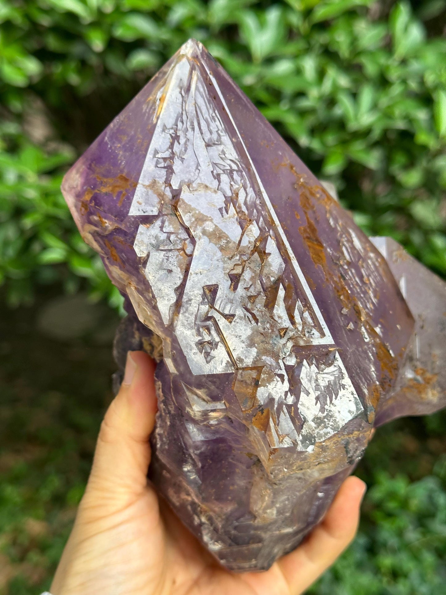 6 lbs Rare Skeletal Amethyst Quartz Scepter Crystal Cluster+ Wooden Base/Specimen/Super Energy Healing Crystals/Reiki-2705 g