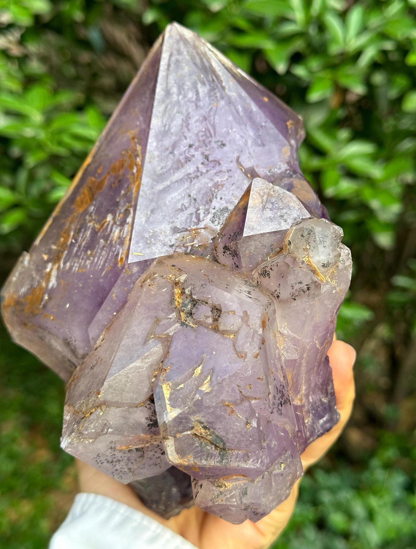 6 lbs Rare Skeletal Amethyst Quartz Scepter Crystal Cluster+ Wooden Base/Specimen/Super Energy Healing Crystals/Reiki-2705 g