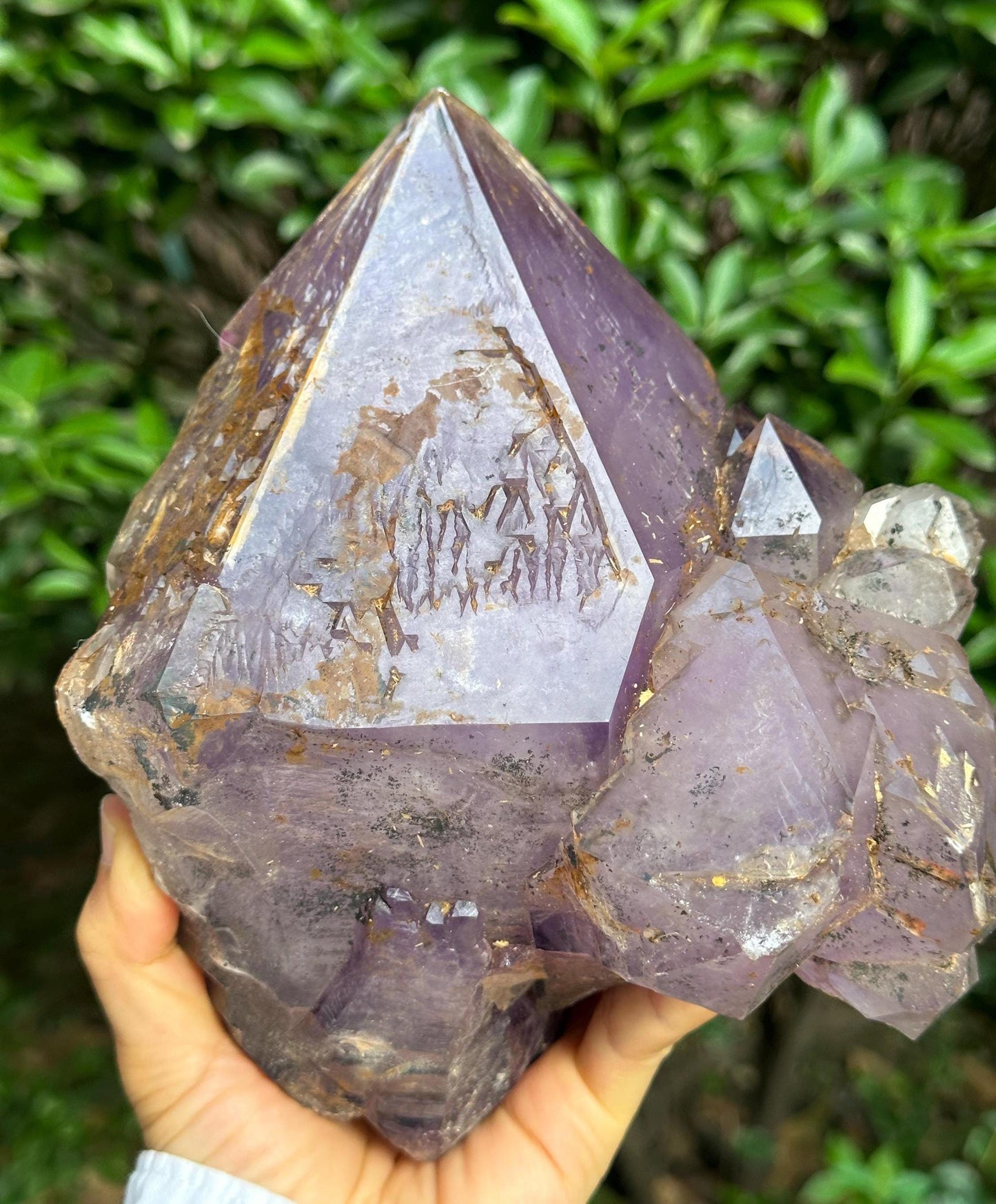 6 lbs Rare Skeletal Amethyst Quartz Scepter Crystal Cluster+ Wooden Base/Specimen/Super Energy Healing Crystals/Reiki-2705 g