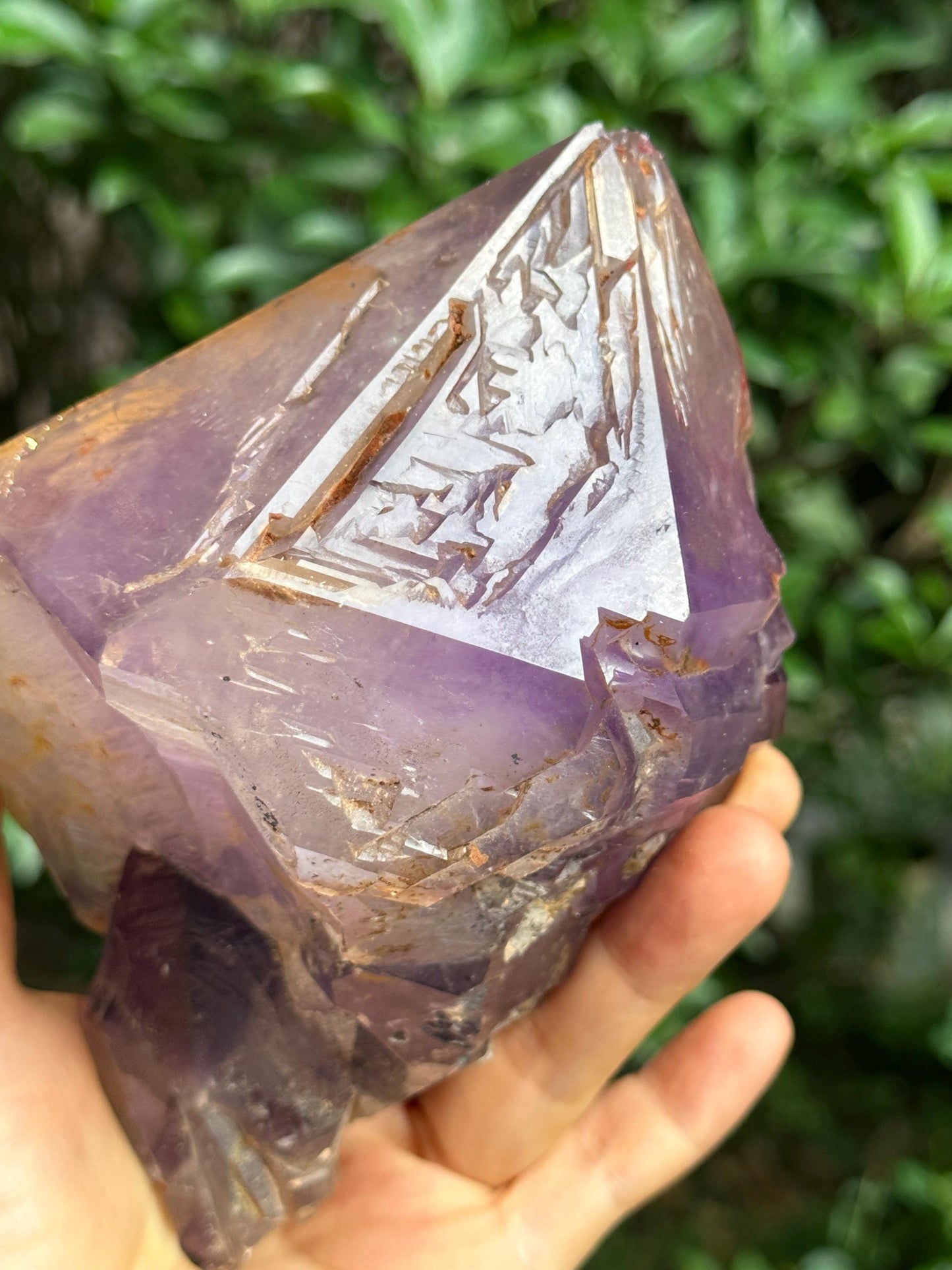 2.4 lbs Rare Skeletal Fenster Amethyst Quartz Scepter Crystal Point+ Wooden Base/Specimen/Super Energy Healing Crystals/Reiki-1093 g