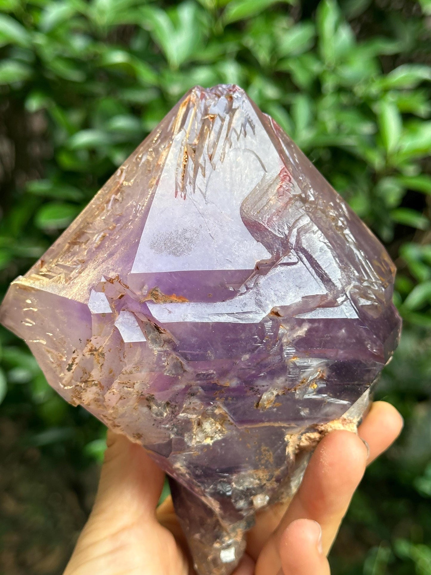 2.4 lbs Rare Skeletal Fenster Amethyst Quartz Scepter Crystal Point+ Wooden Base/Specimen/Super Energy Healing Crystals/Reiki-1093 g