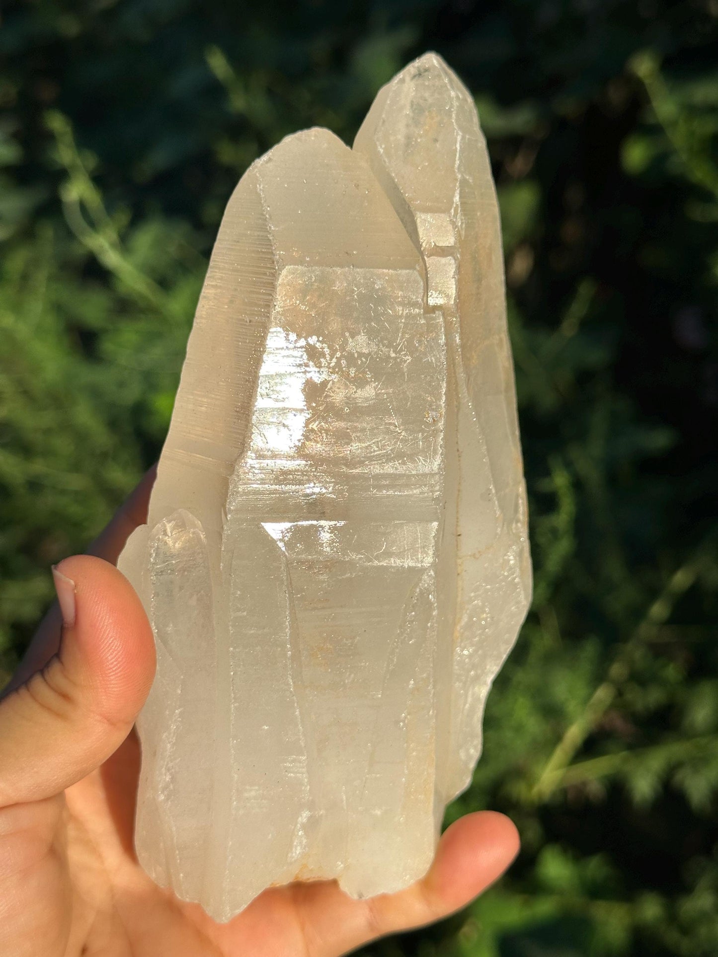 Tantric Twins Lemurian Seed Quartz Crystal Point /Soul Mate Energy Crystal/Meditation/Reiki-827 g