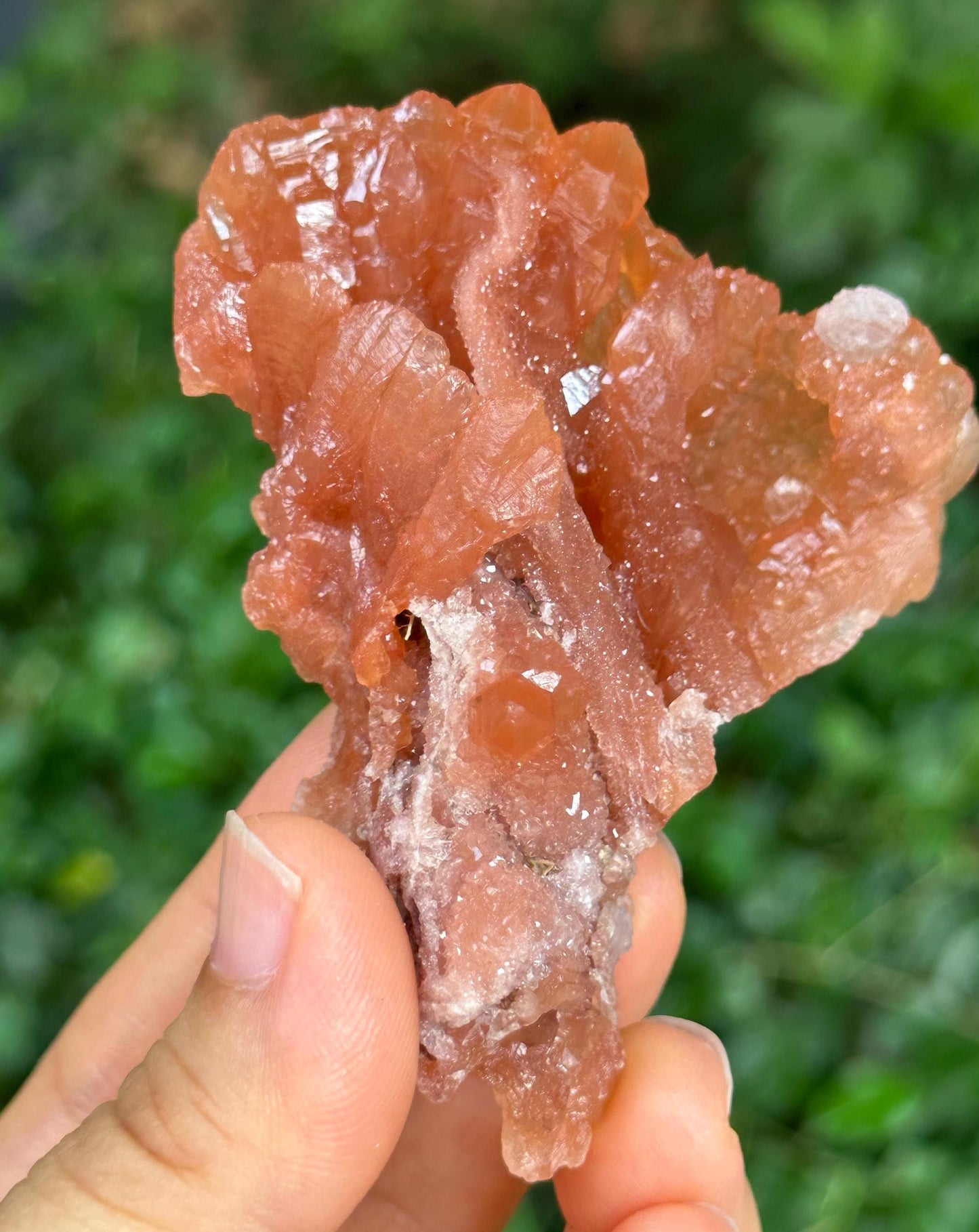 Shining Tangerine Rose Quartz Flower Crystal Cluster/Red Hematite Quartz Crystal/Abundance Crystals/Crystal Collection/Healing Crystal-66 g