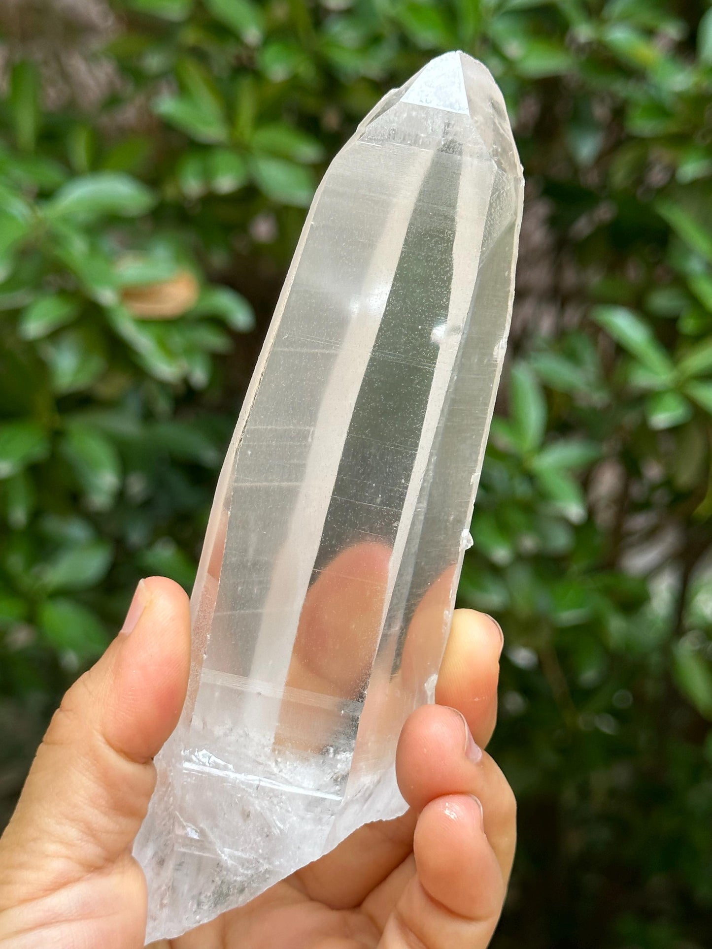 Clear Brazil Lemurian Seeds Quartz Muzo Blue Needles Crystal Point with Angel's Feather Included/Akashic Striation/Healing/Meditation-283 g