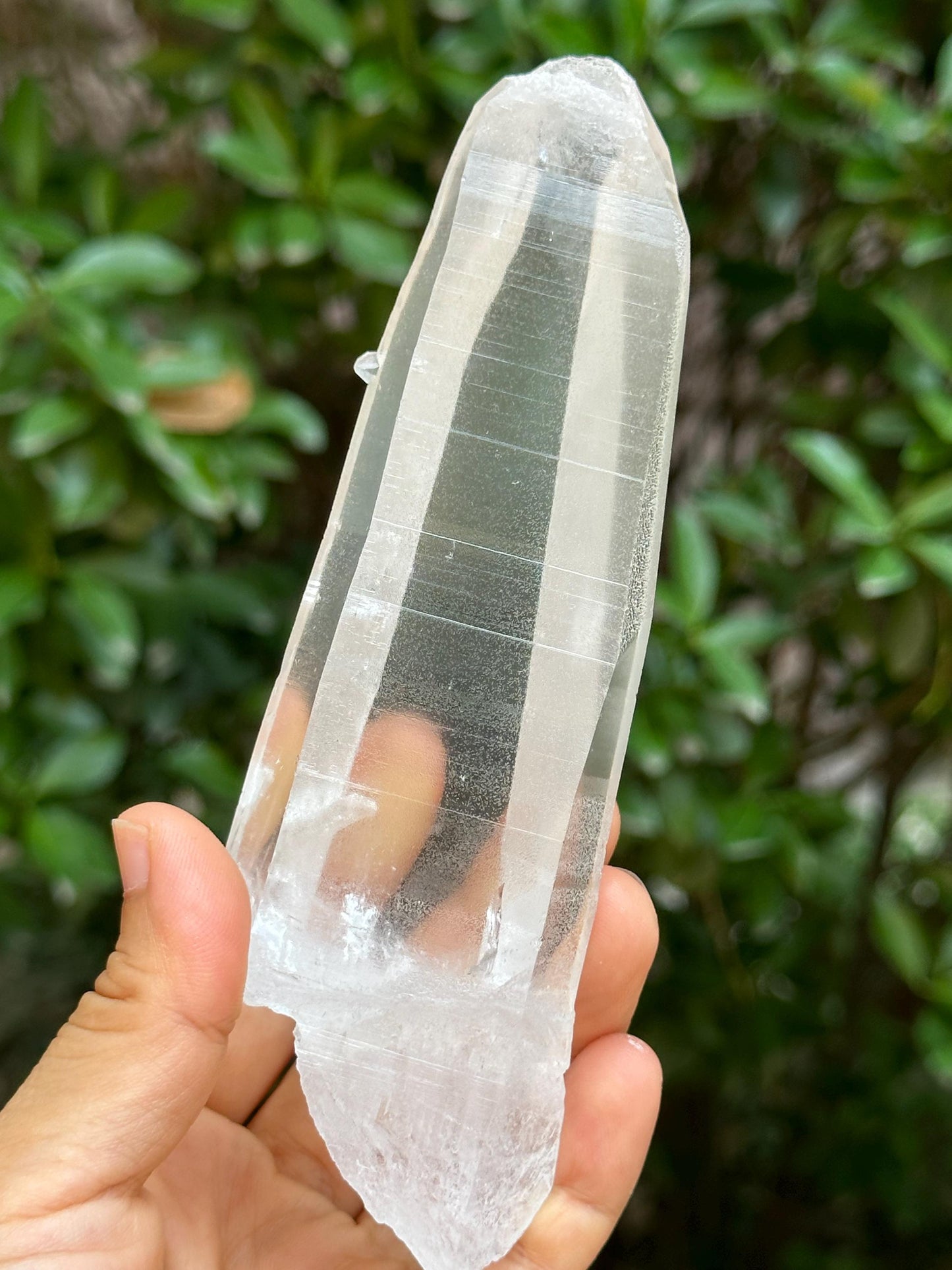 Clear Brazil Lemurian Seeds Quartz Muzo Blue Needles Crystal Point with Angel's Feather Included/Akashic Striation/Healing/Meditation-283 g