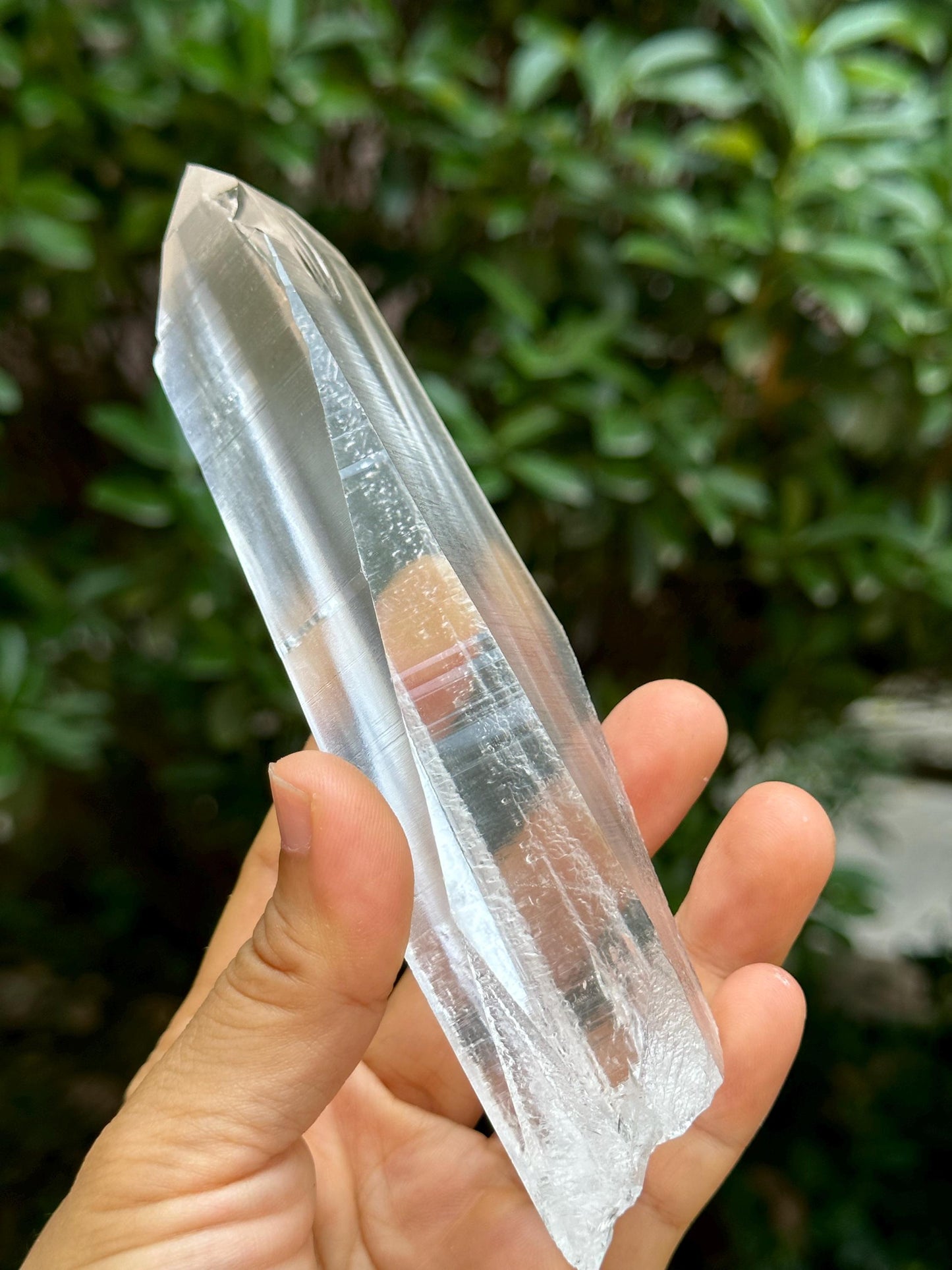 Clear Blue Angel's Feather Included Brazil Lemurian Seeds Quartz Muzo Blue Needles Crystal Point /Akashic Striation/Healing/Meditation-294 g