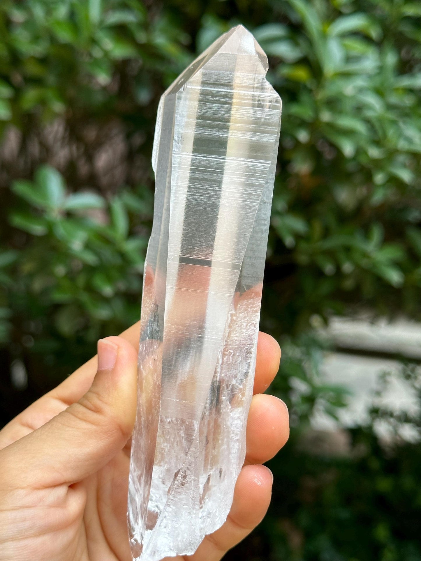 Clear Blue Angel's Feather Included Brazil Lemurian Seeds Quartz Muzo Blue Needles Crystal Point /Akashic Striation/Healing/Meditation-294 g