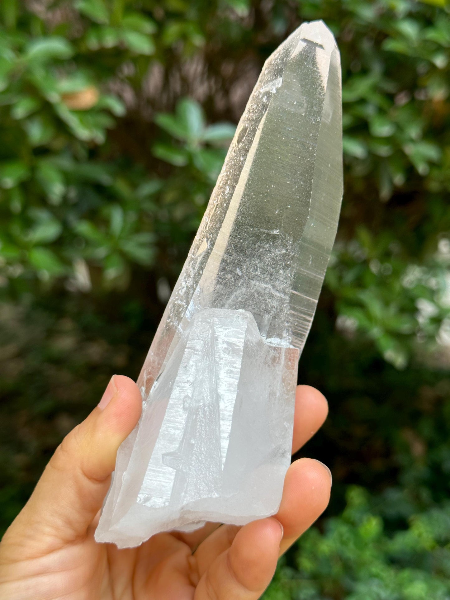 Brazil Lemurian Seeds Muzo Quartz Crystal Blue Angel's Feather Included/Needles Crystal Point /Akashic Striation/Healing/Meditation-435 g