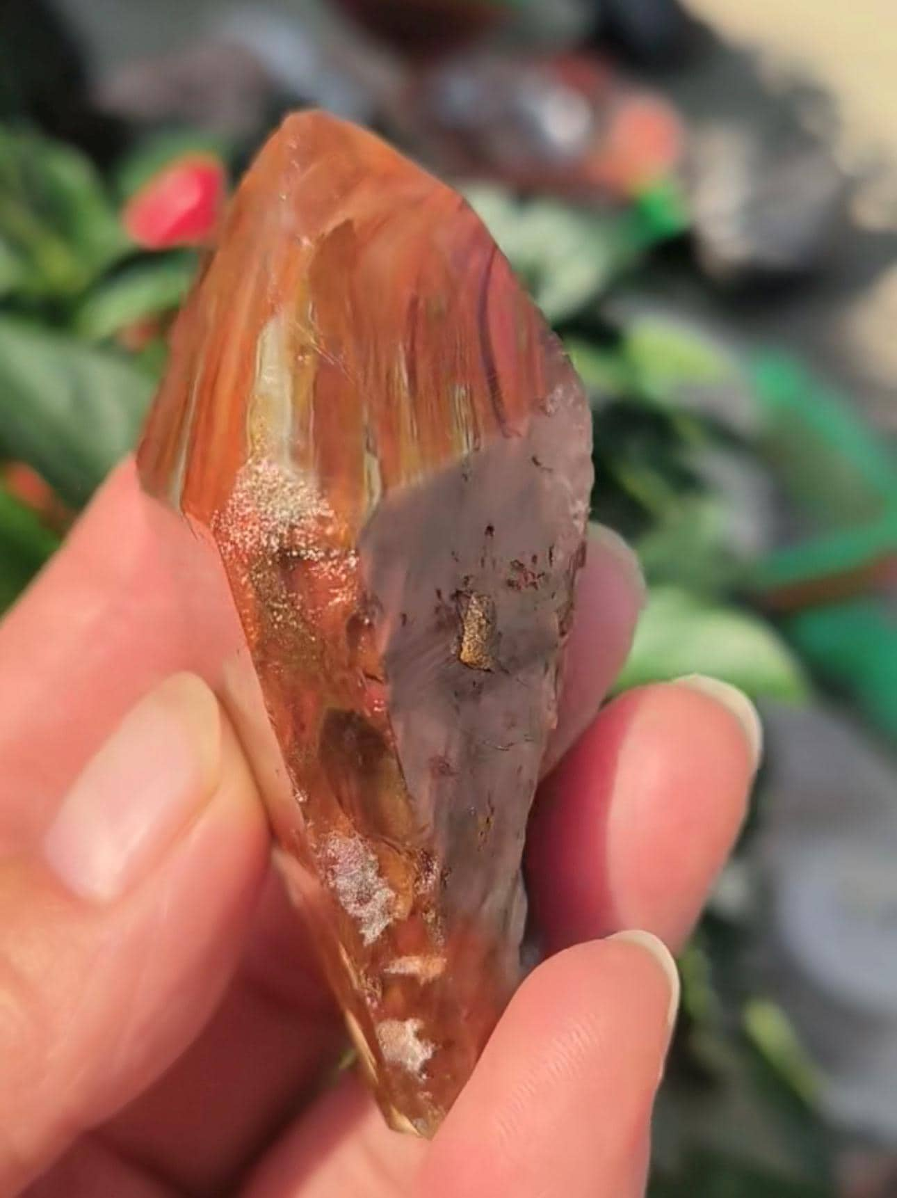 Rare Natural Fire Orange Amphibole Included in Quartz Crystal /Angel's Wing  Crystal Specimen/Meditation Stone-76 g