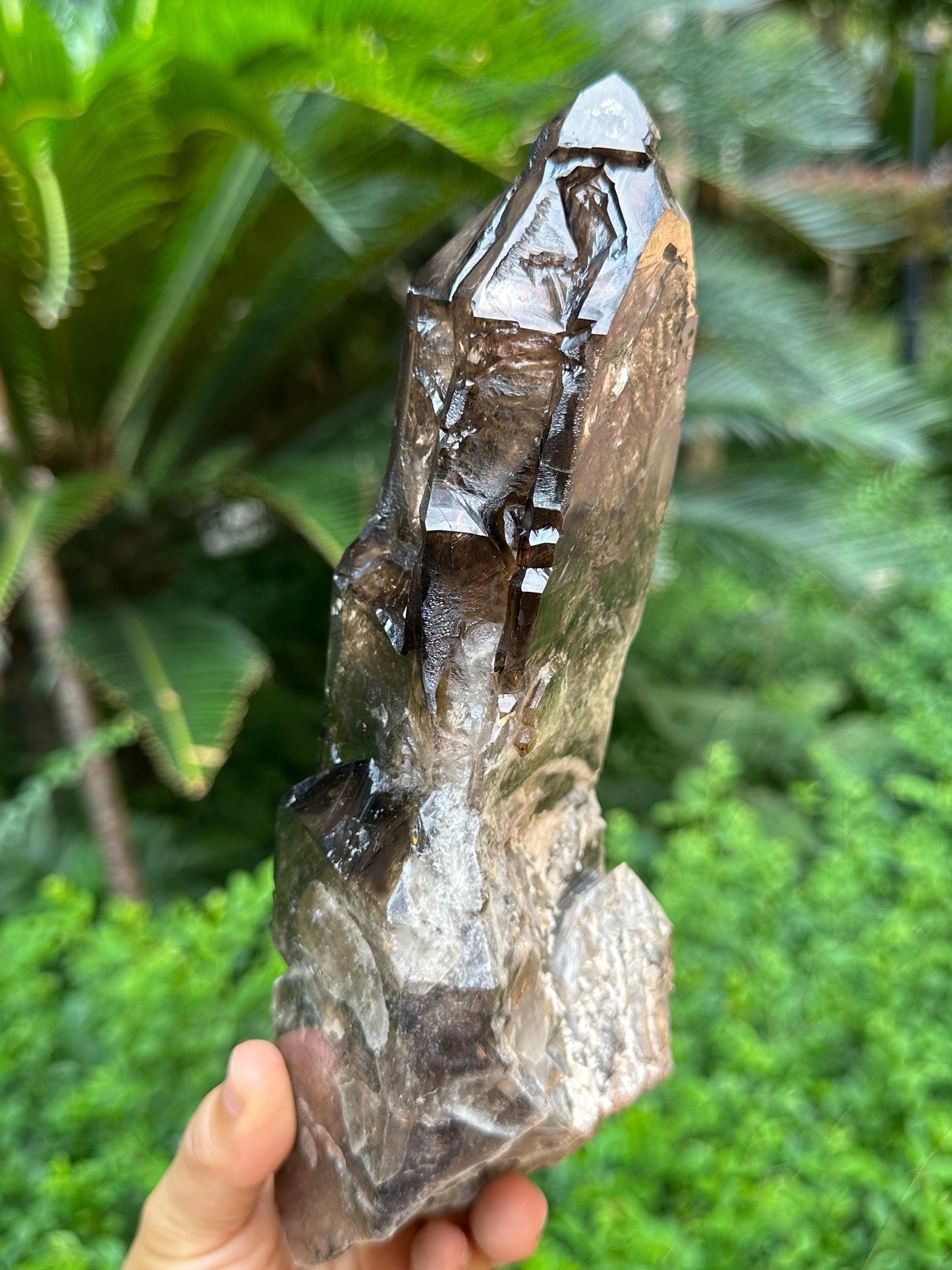 Rare Natural Fenster Skeletal Smoky Quartz Castle Crystal/Energy Crystal/Reiki/Healing Crystal/Meditation/Crystal Collection-1209 g