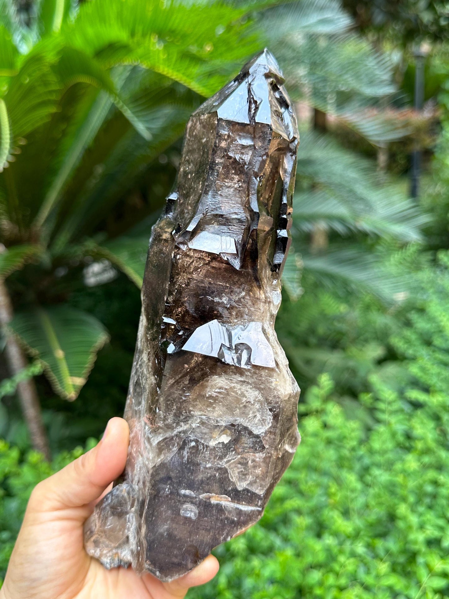 Rare Natural Fenster Skeletal Smoky Quartz Castle Crystal/Energy Crystal/Reiki/Healing Crystal/Meditation/Crystal Collection-1209 g