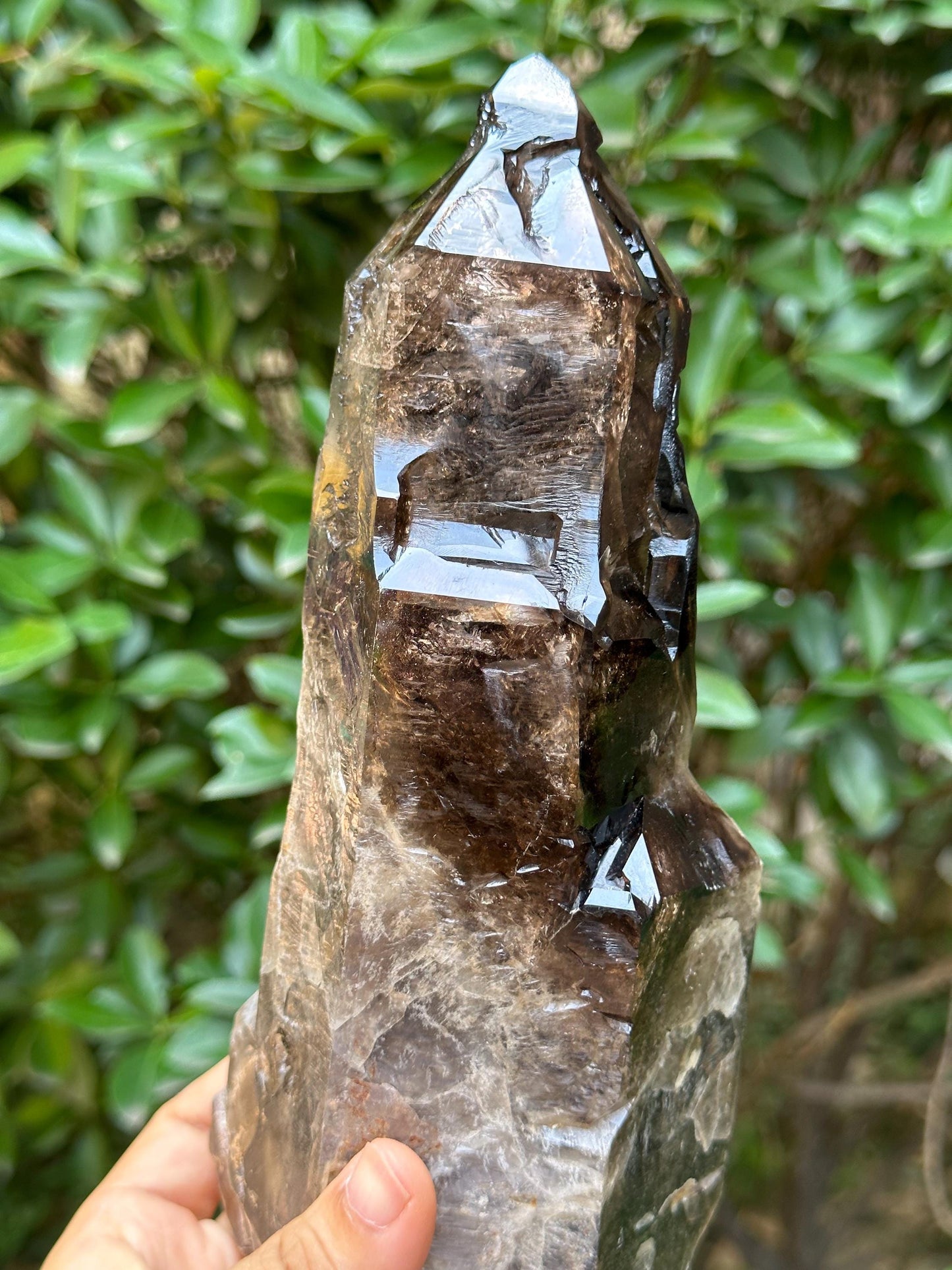 Rare Natural Fenster Skeletal Smoky Quartz Castle Crystal/Energy Crystal/Reiki/Healing Crystal/Meditation/Crystal Collection-1209 g