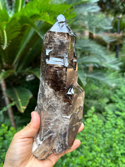 Rare Natural Fenster Skeletal Smoky Quartz Castle Crystal/Energy Crystal/Reiki/Healing Crystal/Meditation/Crystal Collection-1209 g