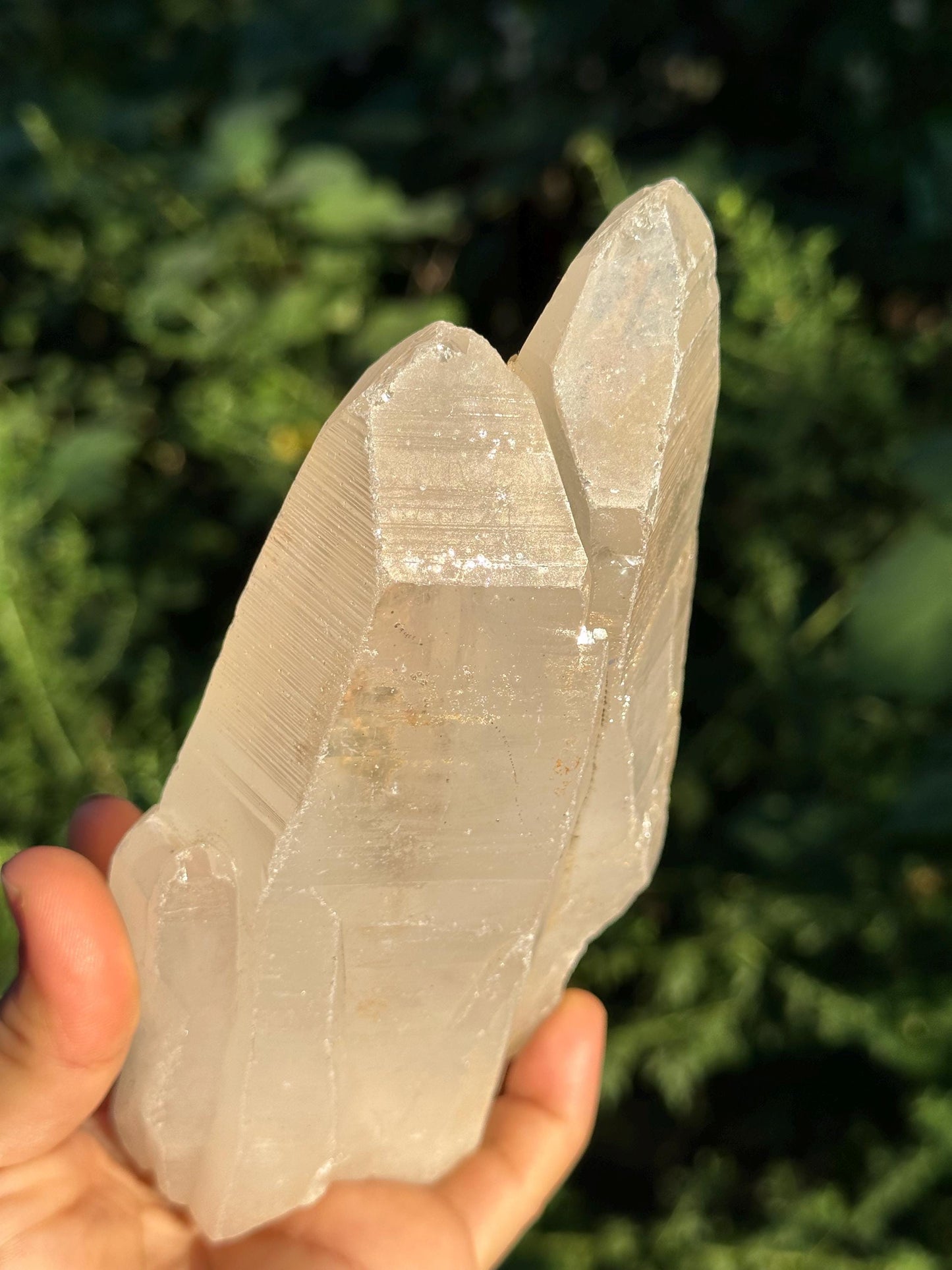 Tantric Twins Lemurian Seed Quartz Crystal Point /Soul Mate Energy Crystal/Meditation/Reiki-827 g