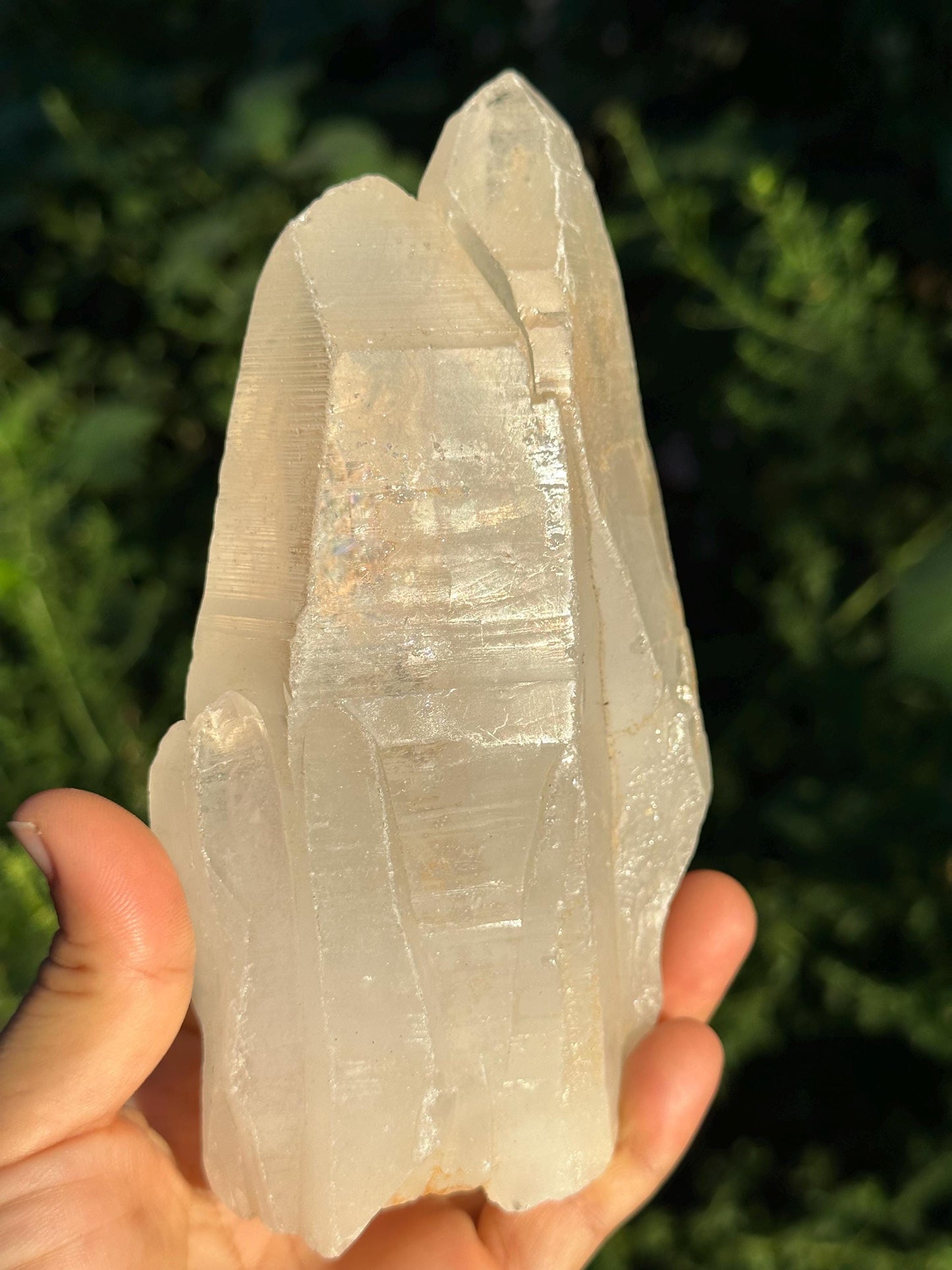 Tantric Twins Lemurian Seed Quartz Crystal Point /Soul Mate Energy Crystal/Meditation/Reiki-827 g