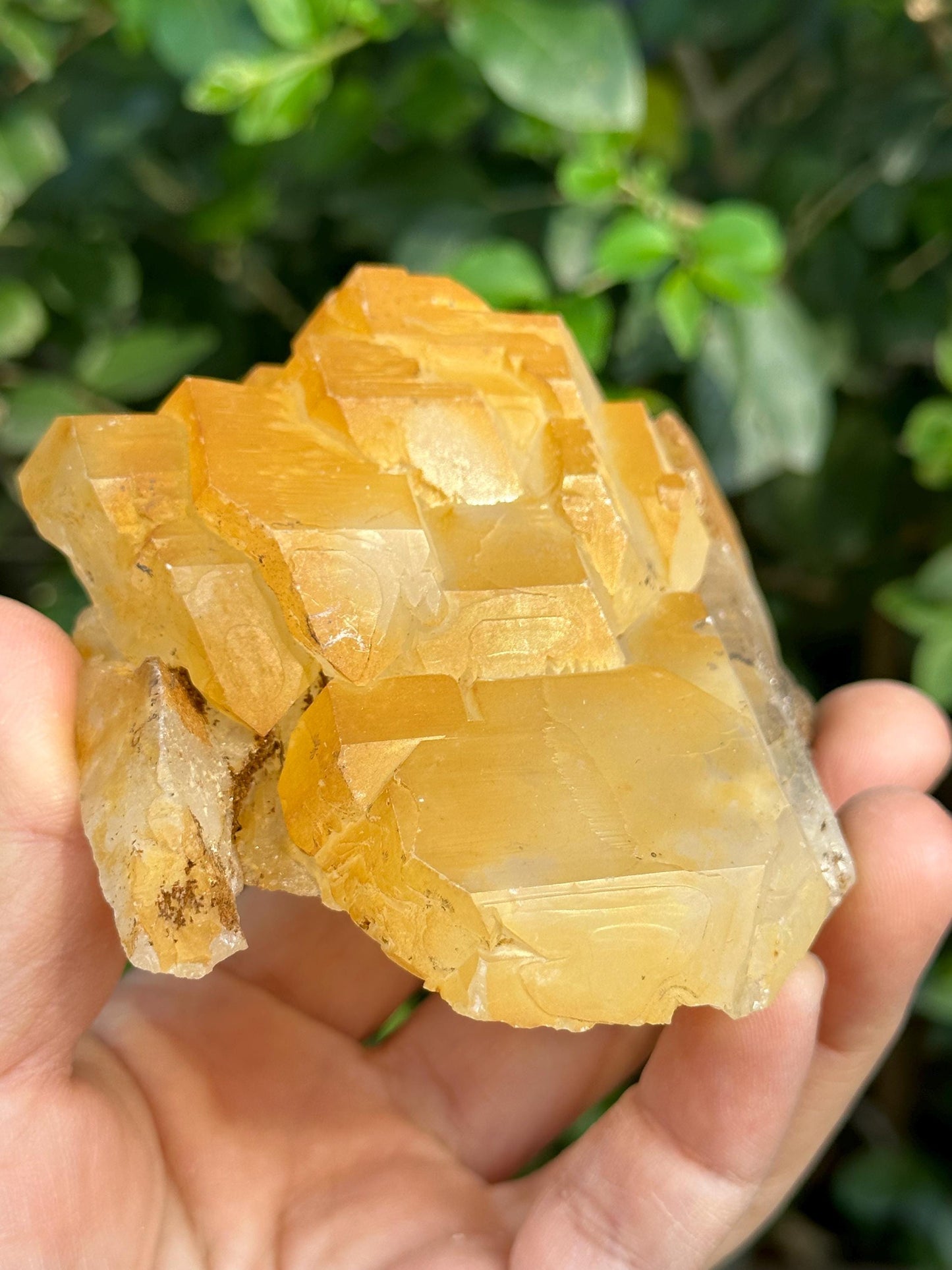 Elestial Golden Himalayan Quartz Double Terminated Aura Crystal/Tibet Energy Crystal/Reiki/Healing/Meditation/Collection/Specimen-278 g