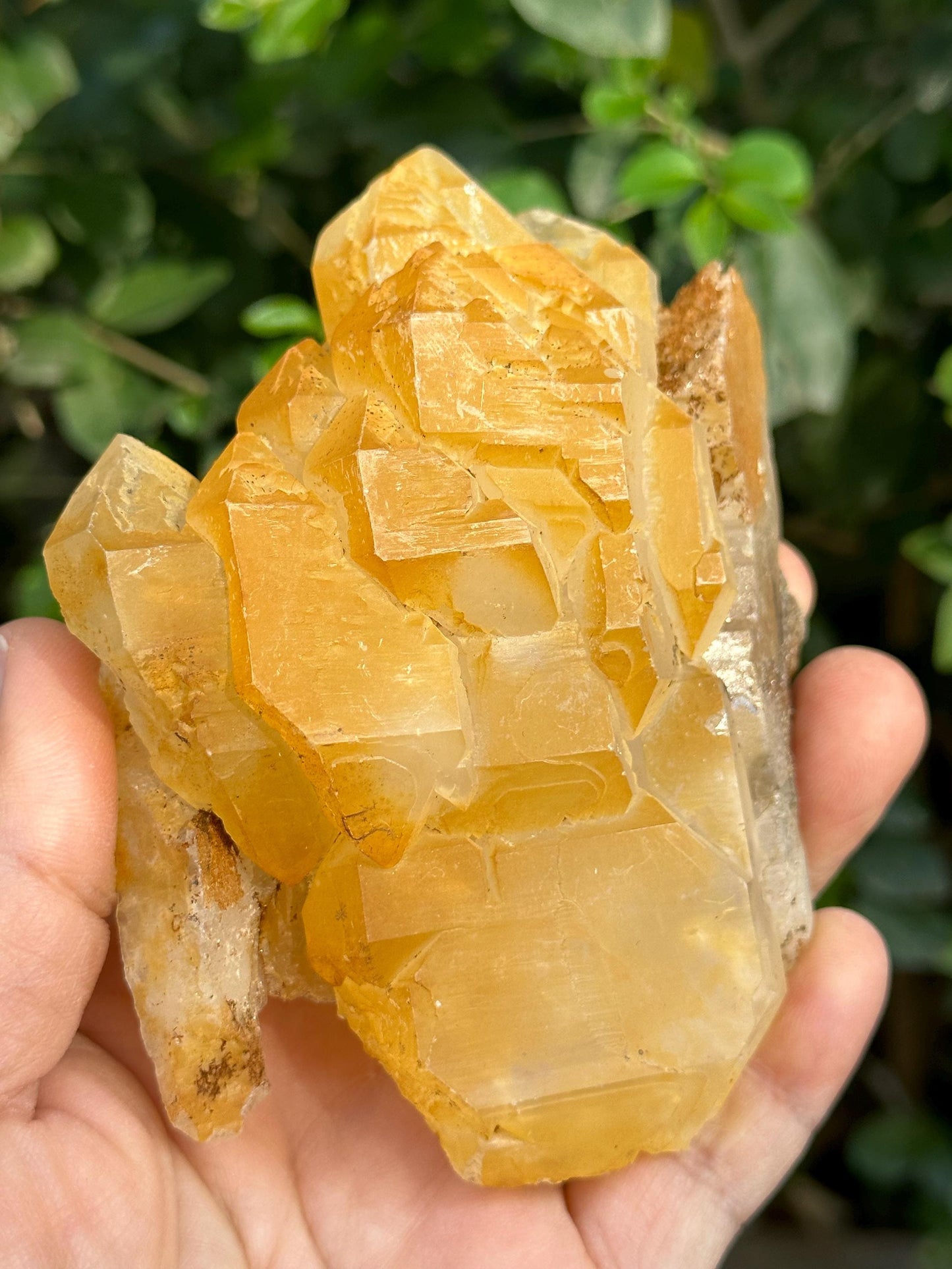 Elestial Golden Himalayan Quartz Double Terminated Aura Crystal/Tibet Energy Crystal/Reiki/Healing/Meditation/Collection/Specimen-278 g