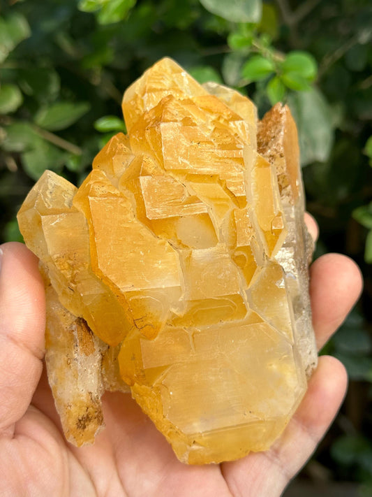 Elestial Golden Himalayan Quartz Double Terminated Aura Crystal/Tibet Energy Crystal/Reiki/Healing/Meditation/Collection/Specimen-278 g