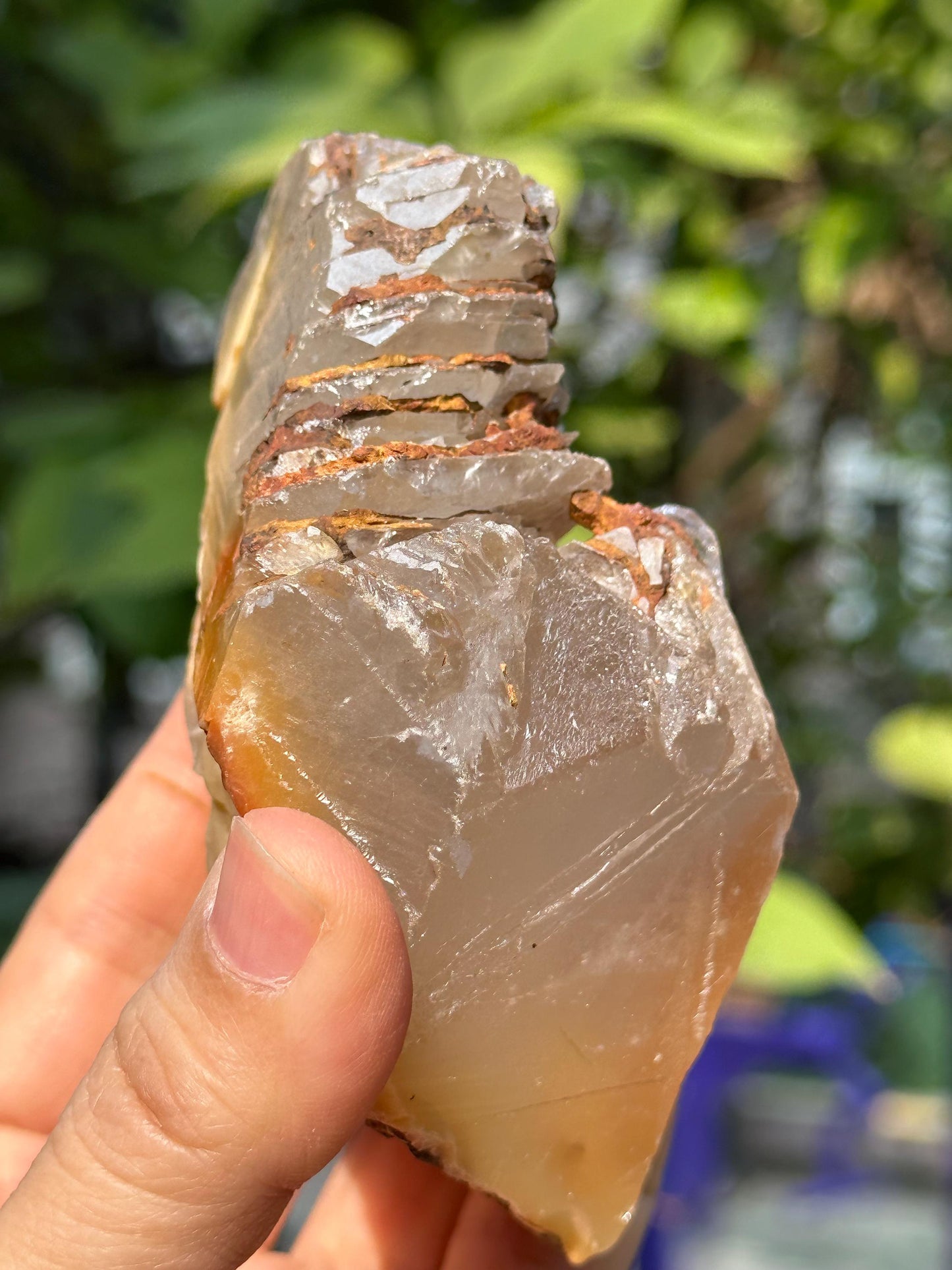 Natural Growth Interference Quartz Crystal Point with Amphibole Included/Golden Angel's Wing Rutile Crystal Specimen/Meditation Stone-359g