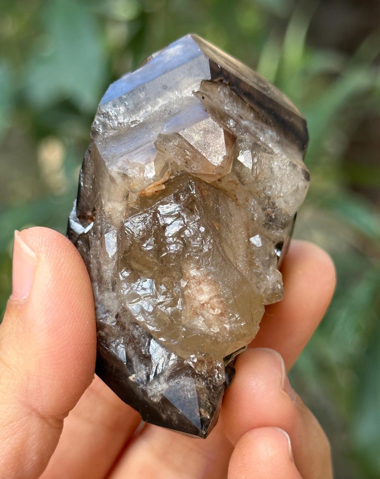 Natural Skeletal Smoky Quartz Fenster Scepter Crystal/Reiki/Crystal Specimen/Energy Healing Crystals/Meditation-93 g