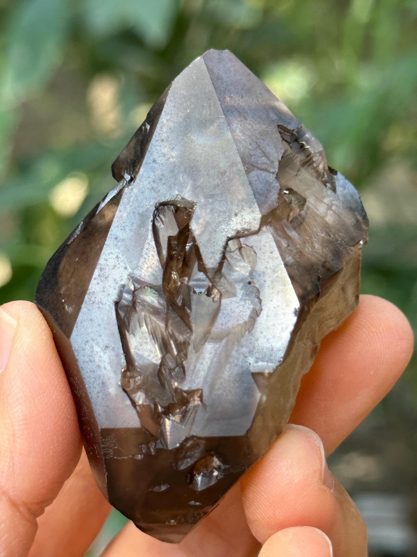 Natural Skeletal Smoky Quartz Fenster Scepter Crystal/Reiki/Crystal Specimen/Energy Healing Crystals/Meditation-93 g