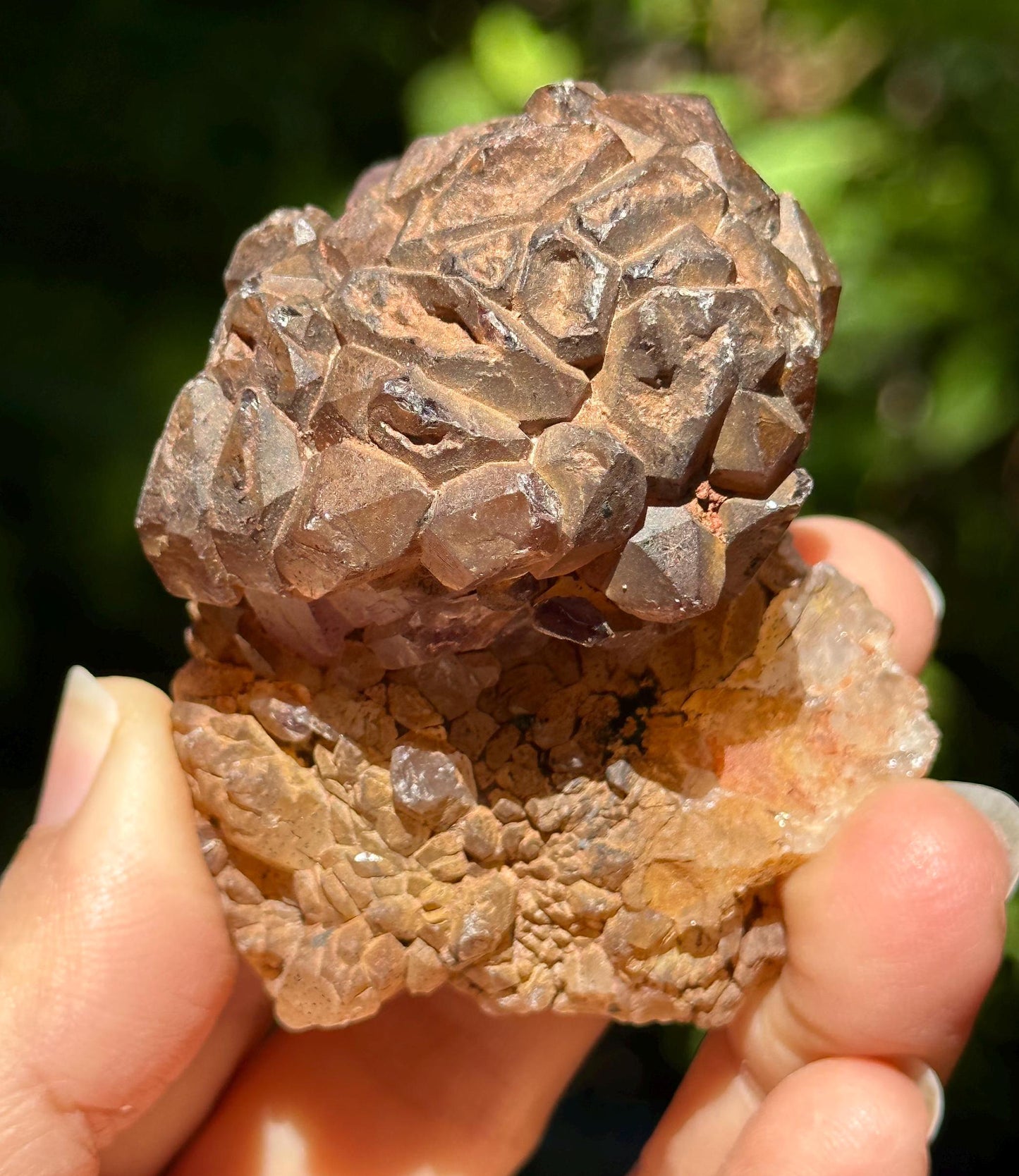 Rare Scepter Super 7 Amethyst Crystal Globular Cluster/Skeletal Quartz Crystal/Specimen/Crystal Collection/Meditation/Reiki/Healing - 83 g