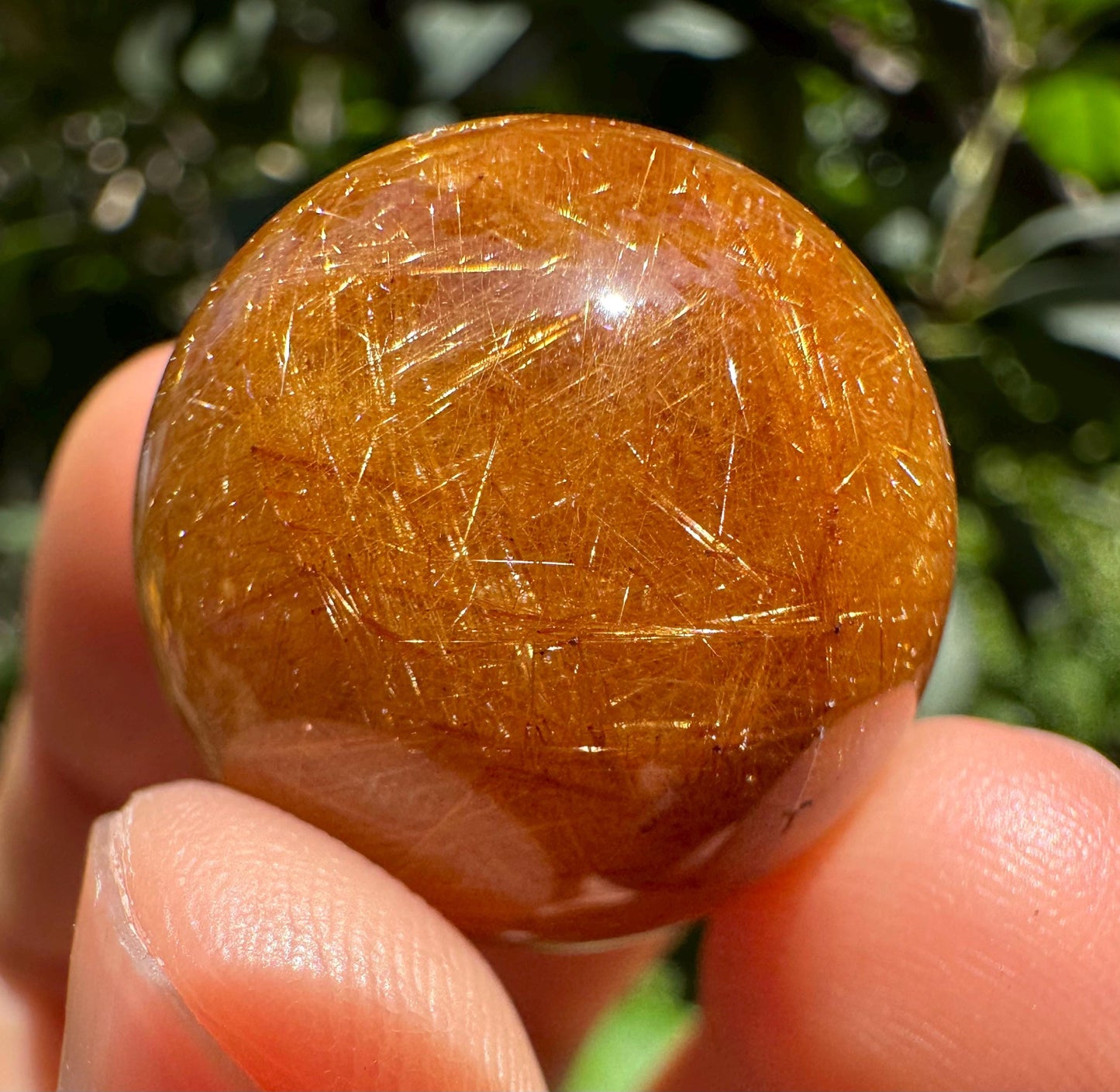 Dazzling Golden Rutile Quartz Crystal Sphere/Clear Golden Needle Include in Natural Clear Crystal Ball/Inclusion Quartz Crystal Orb-23 mm