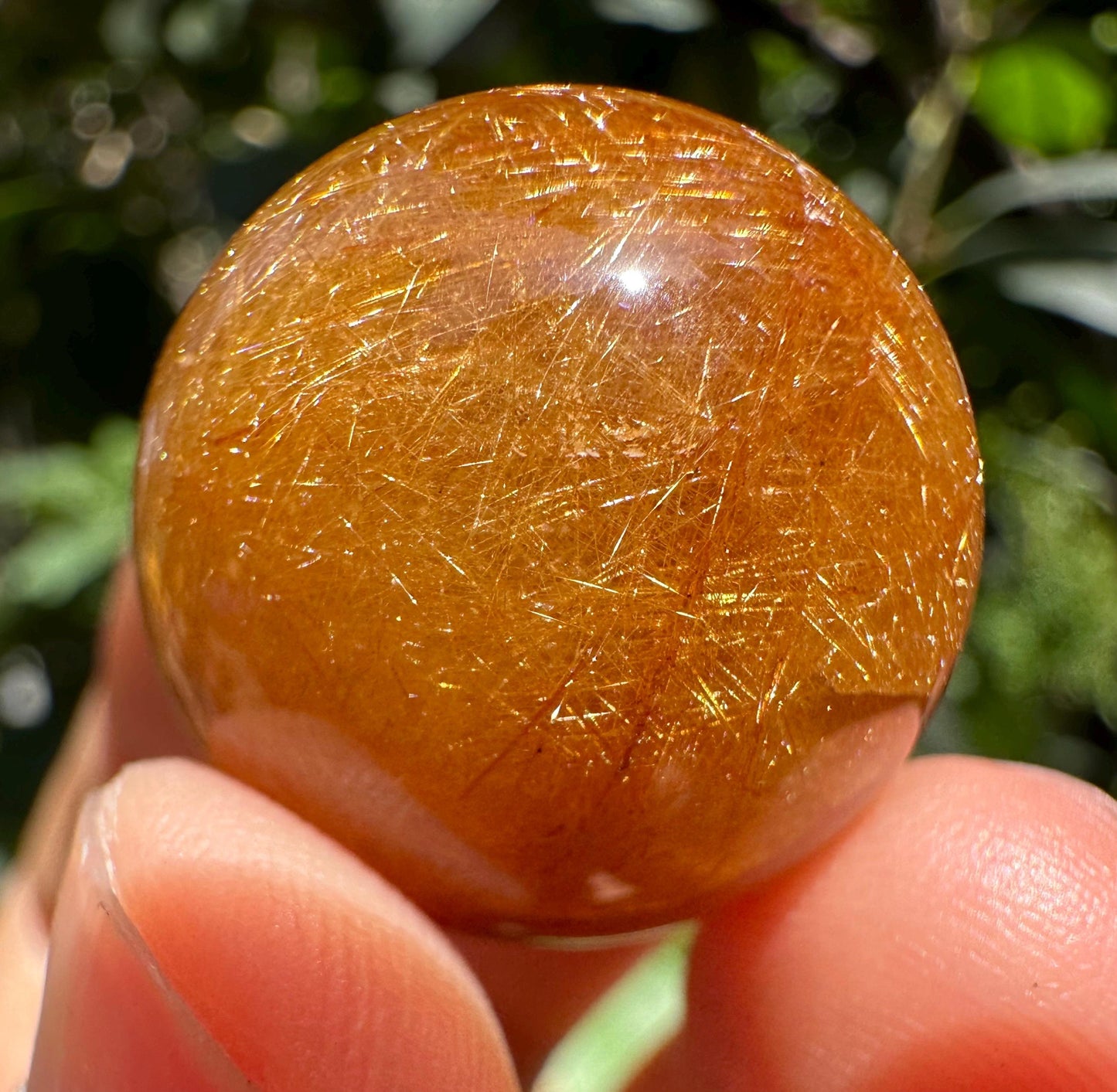 Dazzling Golden Rutile Quartz Crystal Sphere/Clear Golden Needle Include in Natural Clear Crystal Ball/Inclusion Quartz Crystal Orb-23 mm