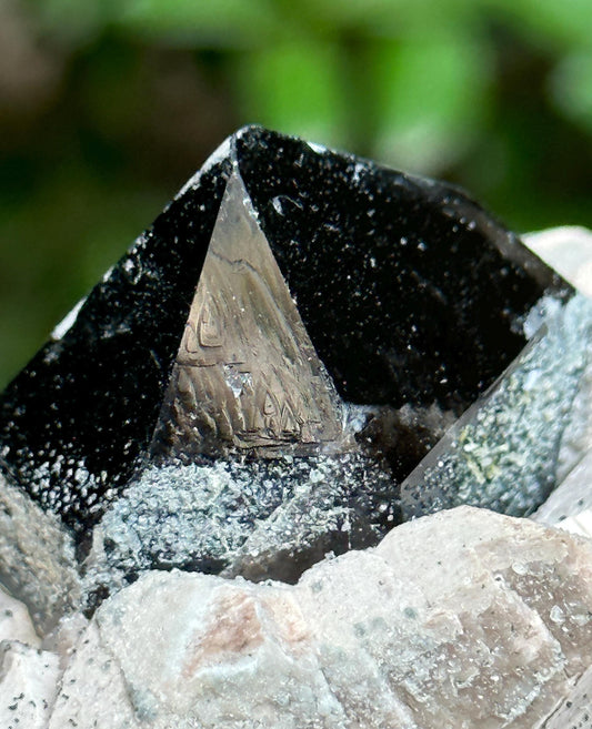 Rare Record-keeper Black Morion Quartz Crystal Cluster/Black Crystal Specimen/Rough Black Quartz Specimen/Collection/Meditation/Healing-277g