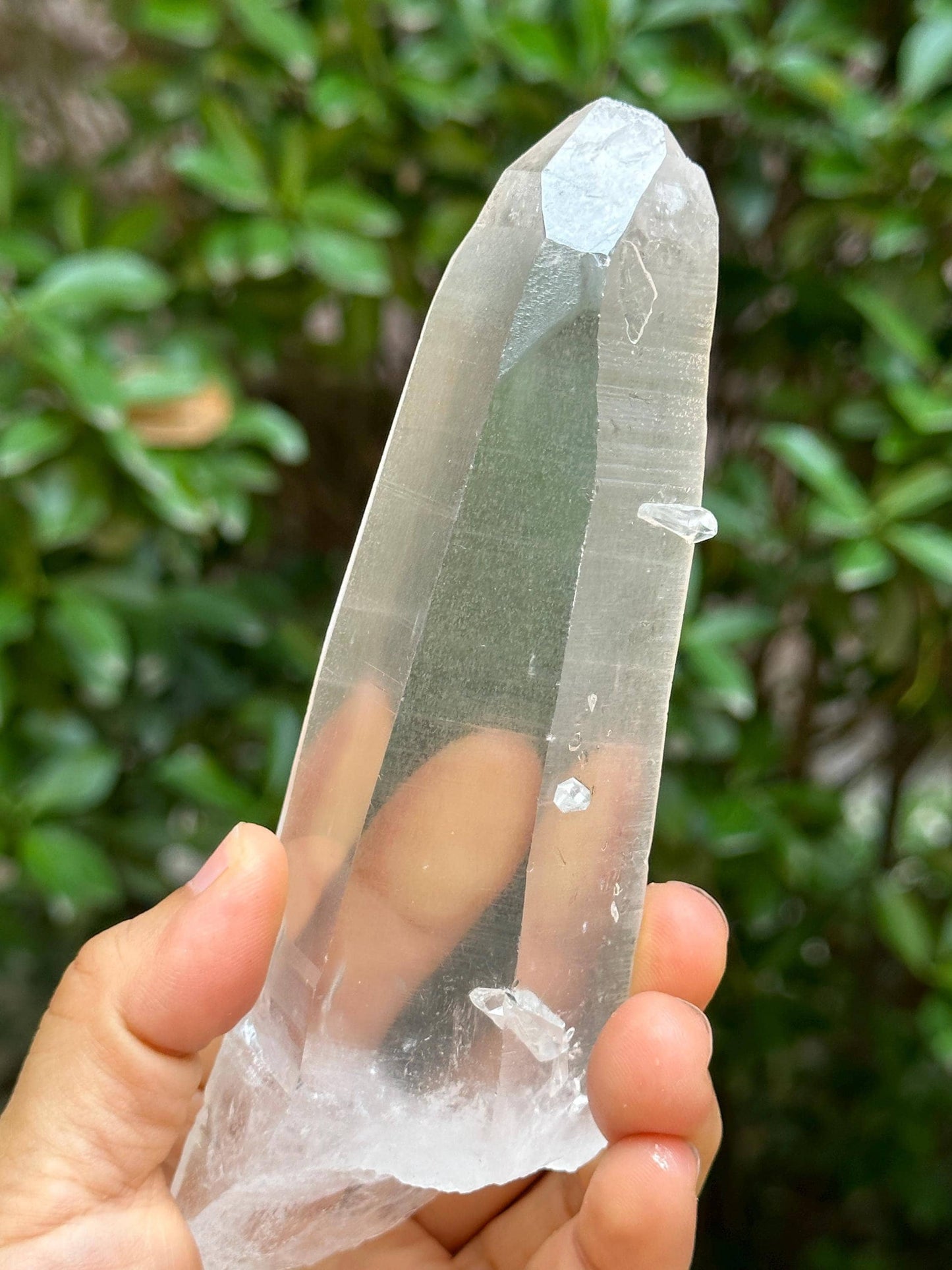 Clear Brazil Lemurian Seeds Quartz Muzo Blue Needles Crystal Point with Angel's Feather Included/Akashic Striation/Healing/Meditation-283 g