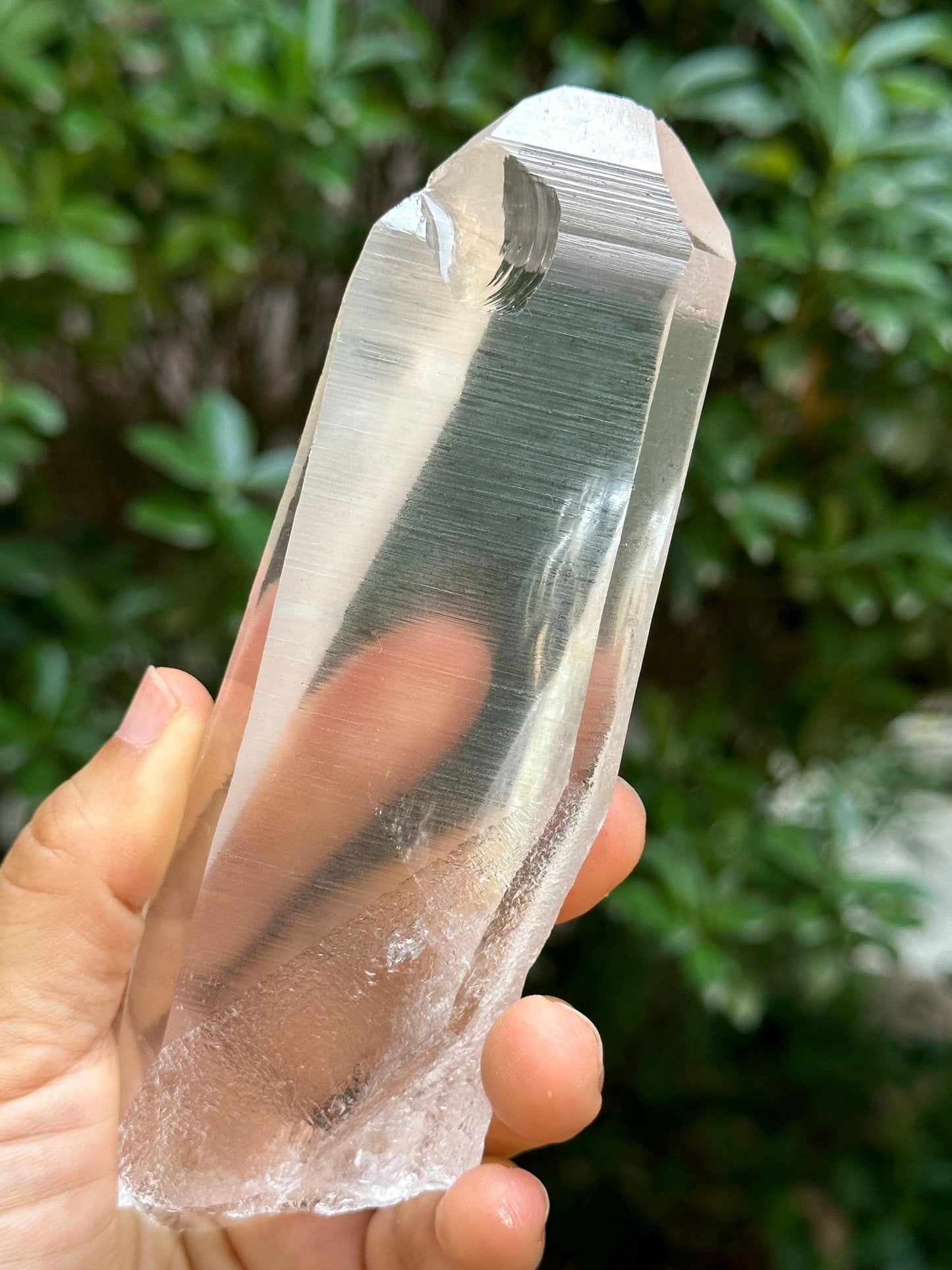 Clear Blue Angel's Feather Included Brazil Lemurian Seeds Quartz Muzo Blue Needles Crystal Point /Akashic Striation/Healing/Meditation-294 g