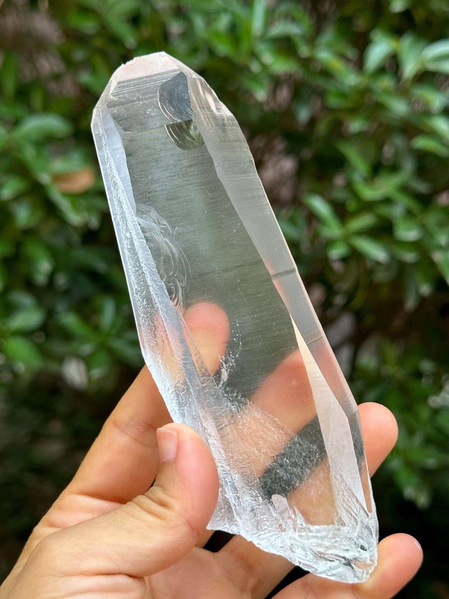 Clear Blue Angel's Feather Included Brazil Lemurian Seeds Quartz Muzo Blue Needles Crystal Point /Akashic Striation/Healing/Meditation-294 g