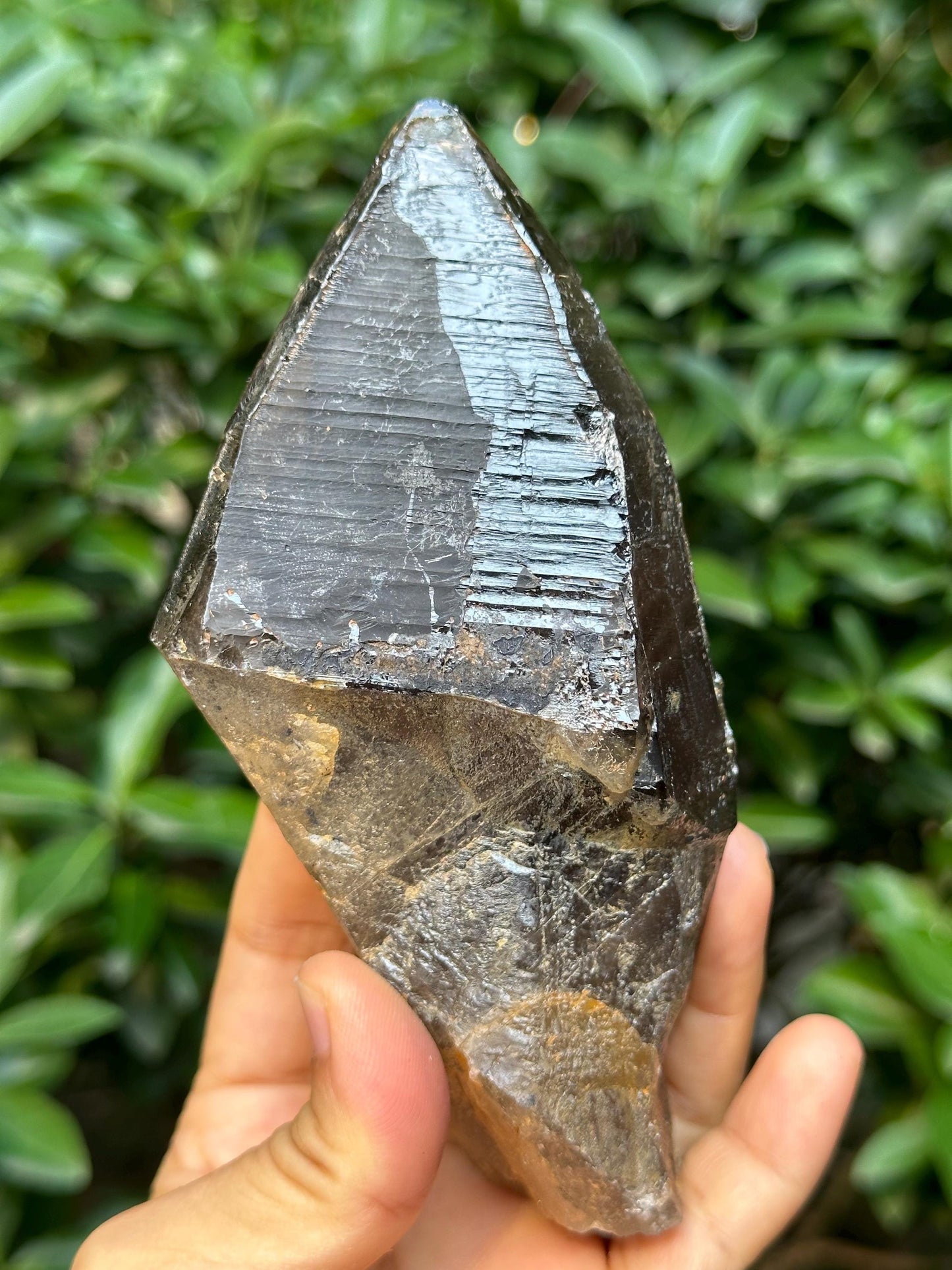 Rare Laser Smoky Quartz Crystal Wand/Energy Crystal Reiki/Healing/Meditation/Collection/Generator Crystal -374 g