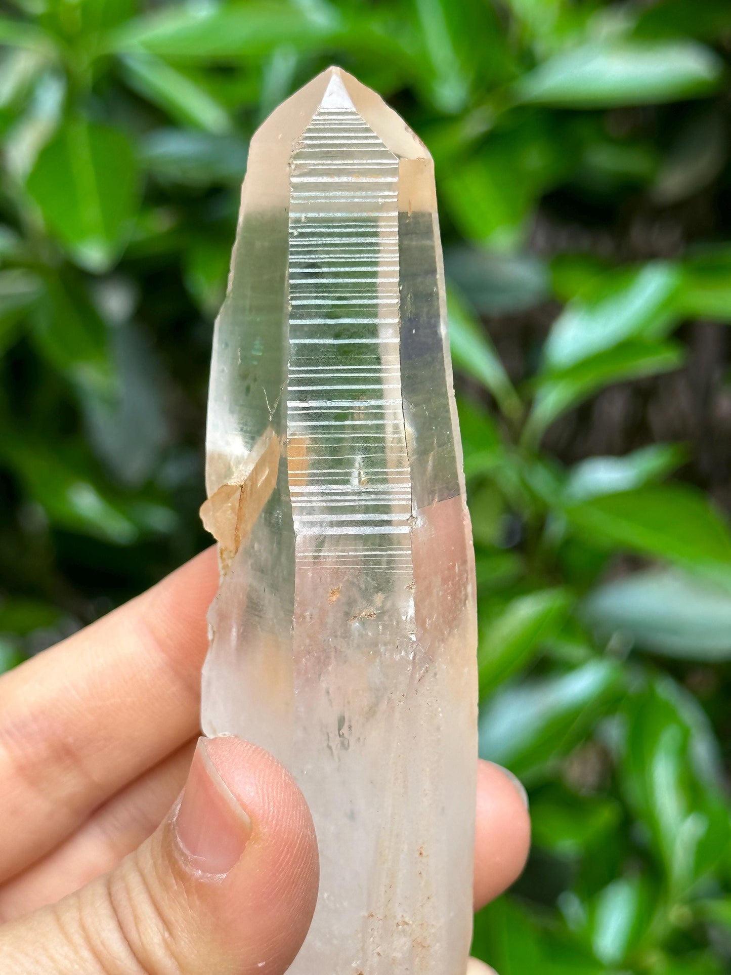 Perfect Clear Himalayan Lemurian Seeds Quartz Crystal/Inner Child/Akashic Striation Energy Crystal/Reiki/Healing Crystal/Meditation-109 g