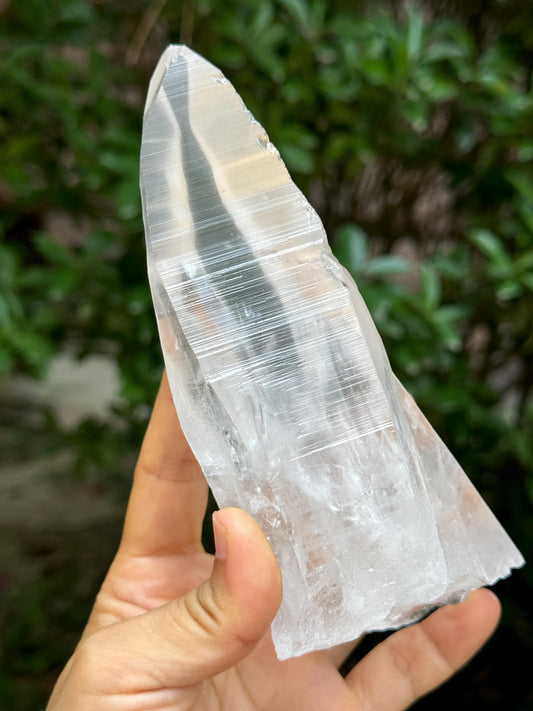 Rare Clear Lemurian Seeds Muzo Crystal/Knife Crystal Point/Akashic Striation Penetrator Energy Crystal/Reiki/Healing Crystal/Meditation-473g