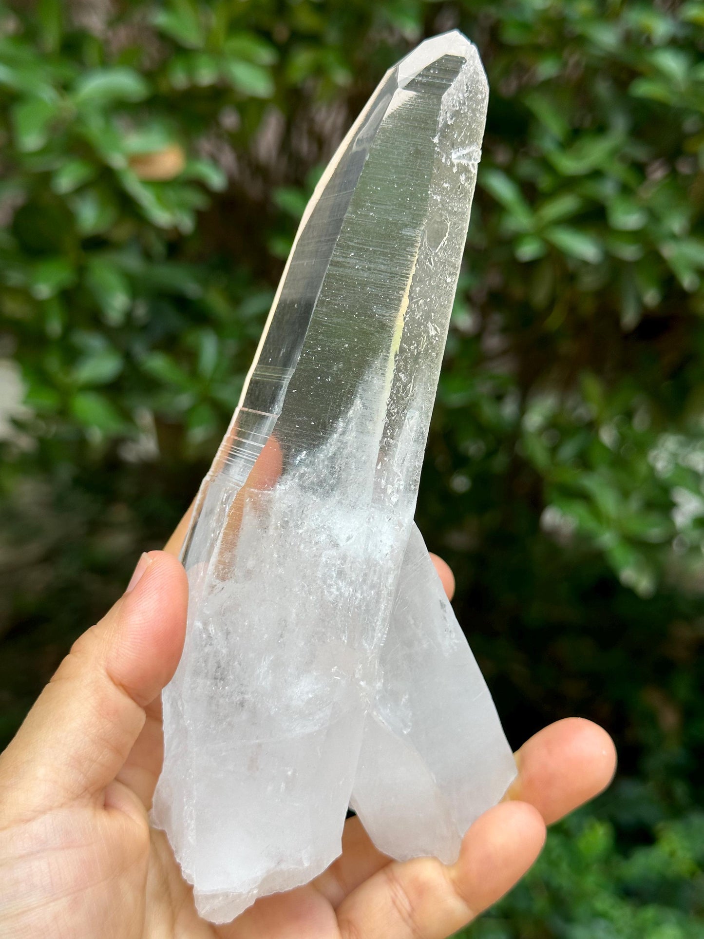 Brazil Lemurian Seeds Muzo Quartz Crystal Blue Angel's Feather Included/Needles Crystal Point /Akashic Striation/Healing/Meditation-435 g