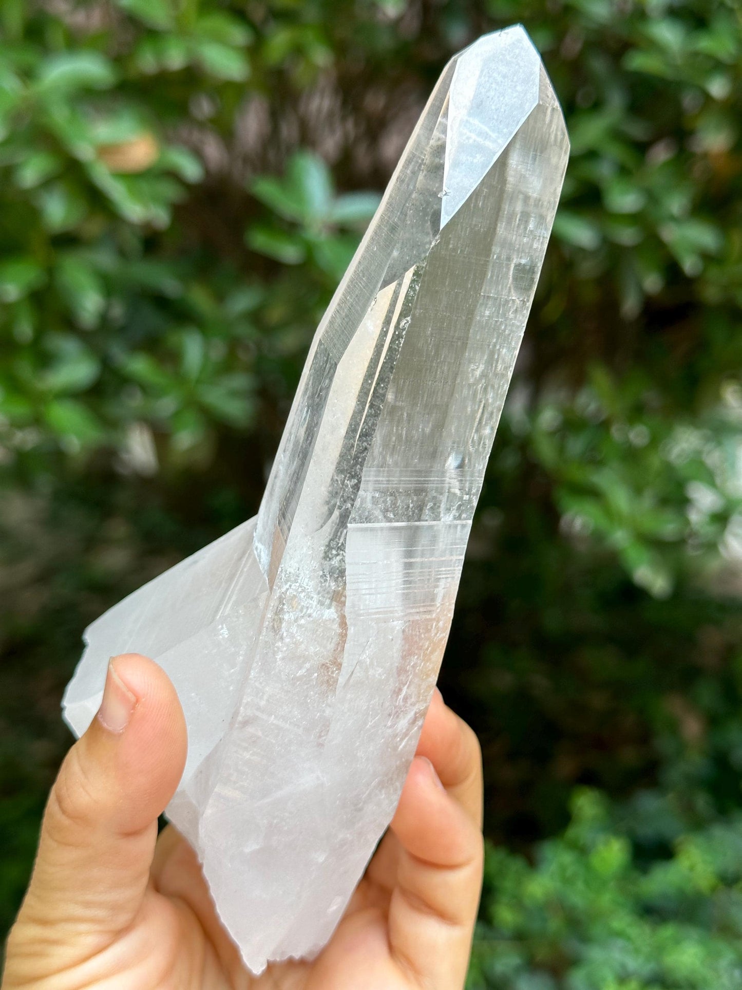 Brazil Lemurian Seeds Muzo Quartz Crystal Blue Angel's Feather Included/Needles Crystal Point /Akashic Striation/Healing/Meditation-435 g