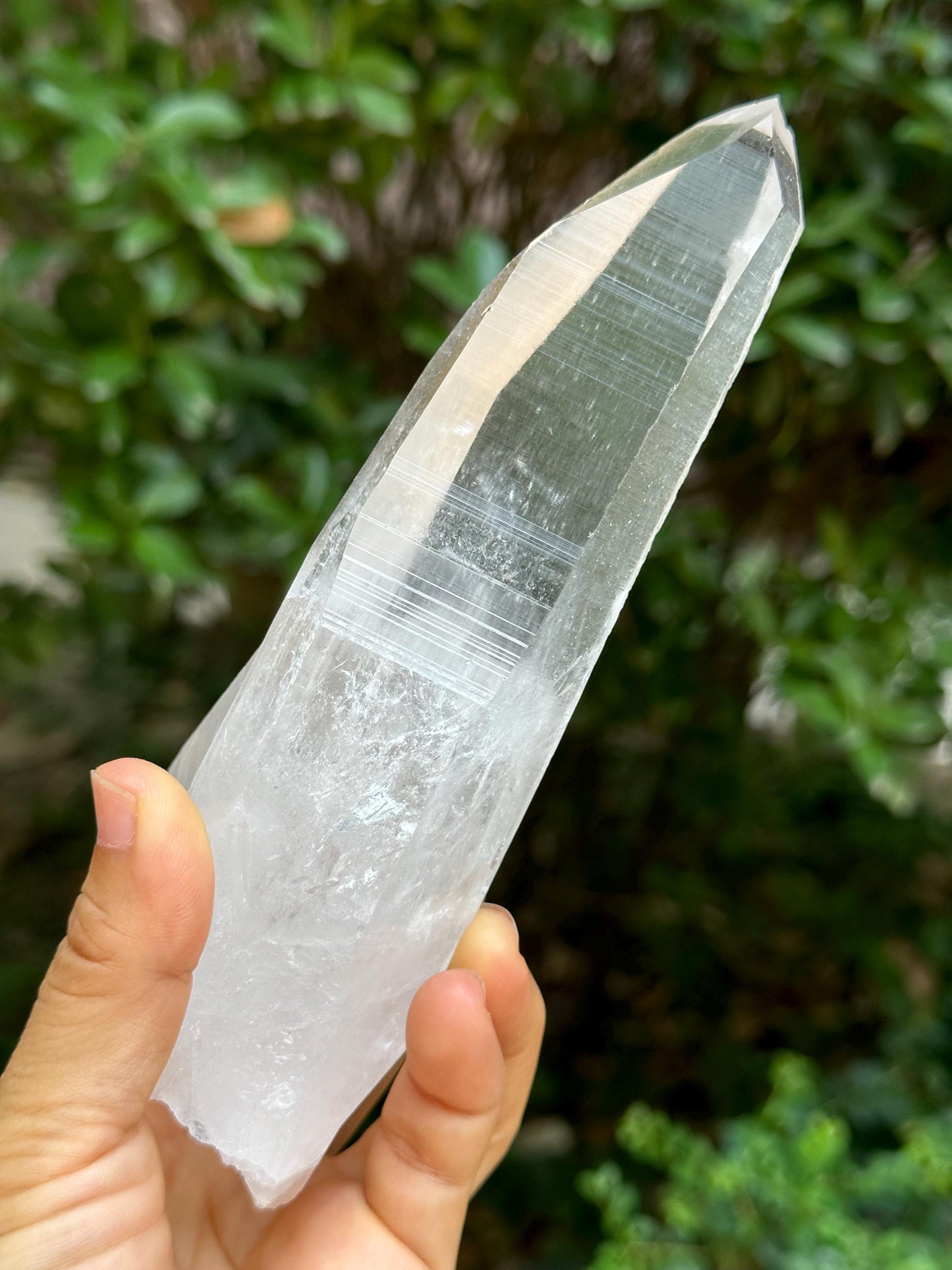 Brazil Lemurian Seeds Muzo Quartz Crystal Blue Angel's Feather Included/Needles Crystal Point /Akashic Striation/Healing/Meditation-435 g