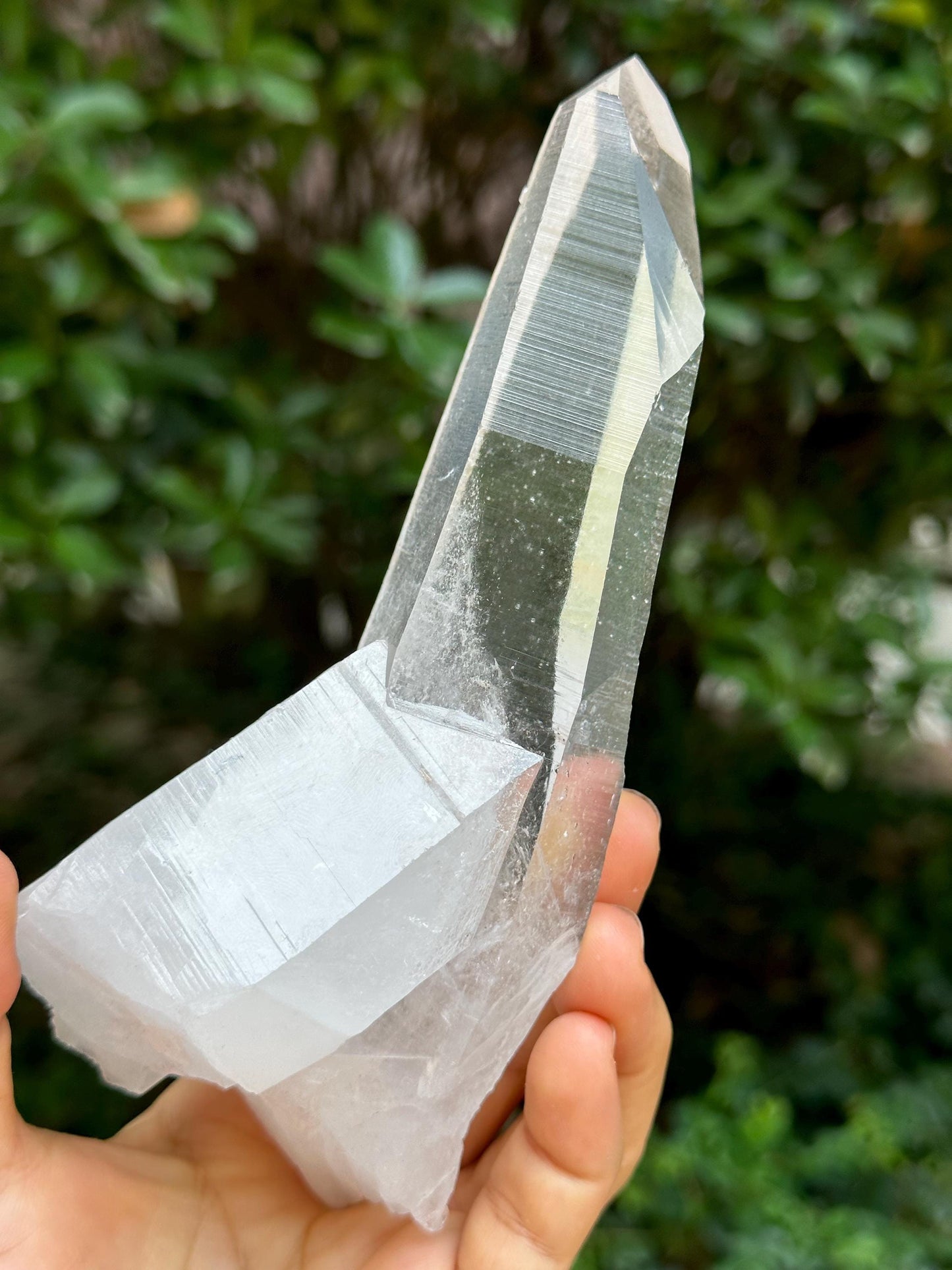 Brazil Lemurian Seeds Muzo Quartz Crystal Blue Angel's Feather Included/Needles Crystal Point /Akashic Striation/Healing/Meditation-435 g