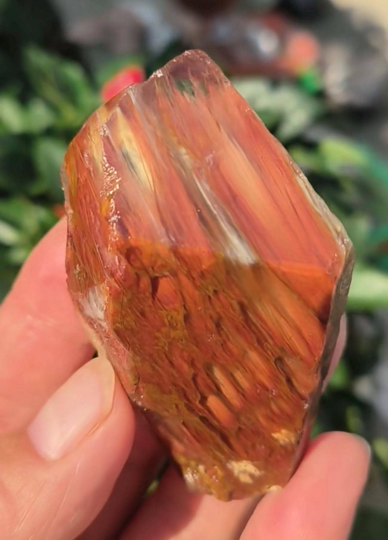 Rare Natural Fire Orange Amphibole Included in Quartz Crystal /Angel's Wing  Crystal Specimen/Meditation Stone-76 g