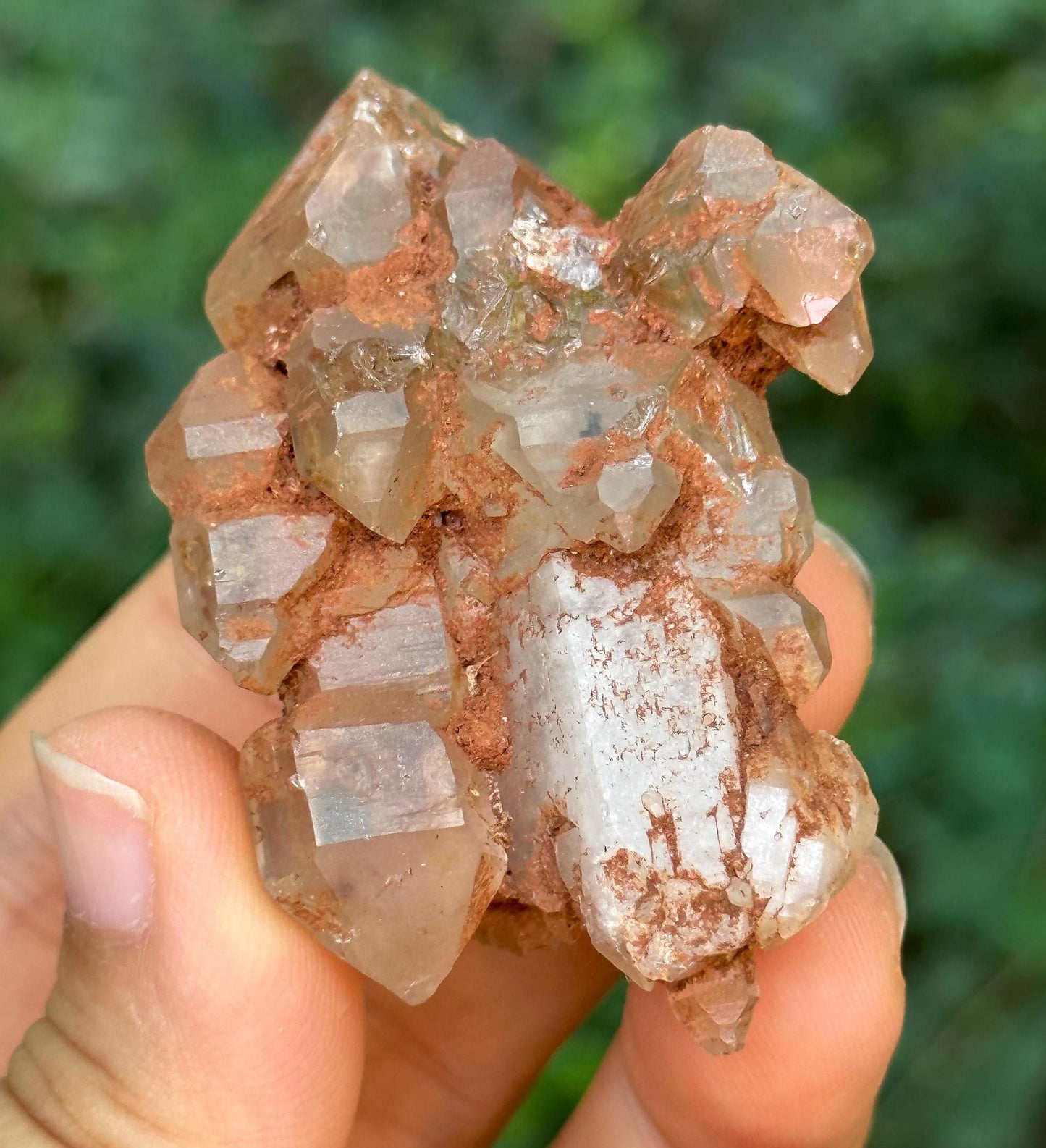 Rare Fenster Fluorescent Enhydro Elestial Skeletal Quartz Scepter Crystal Cluster with Moving Crude Bubble Included/Collection/Energy-47 g