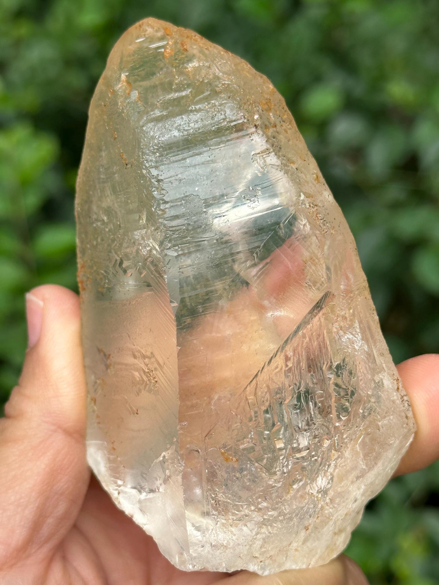 Clear Himalayan Record-keeper Nirvana Quartz Single Crystal/Energy Crystal/Reiki/Healing Crystal/Meditation/Crystal Collection-224 g