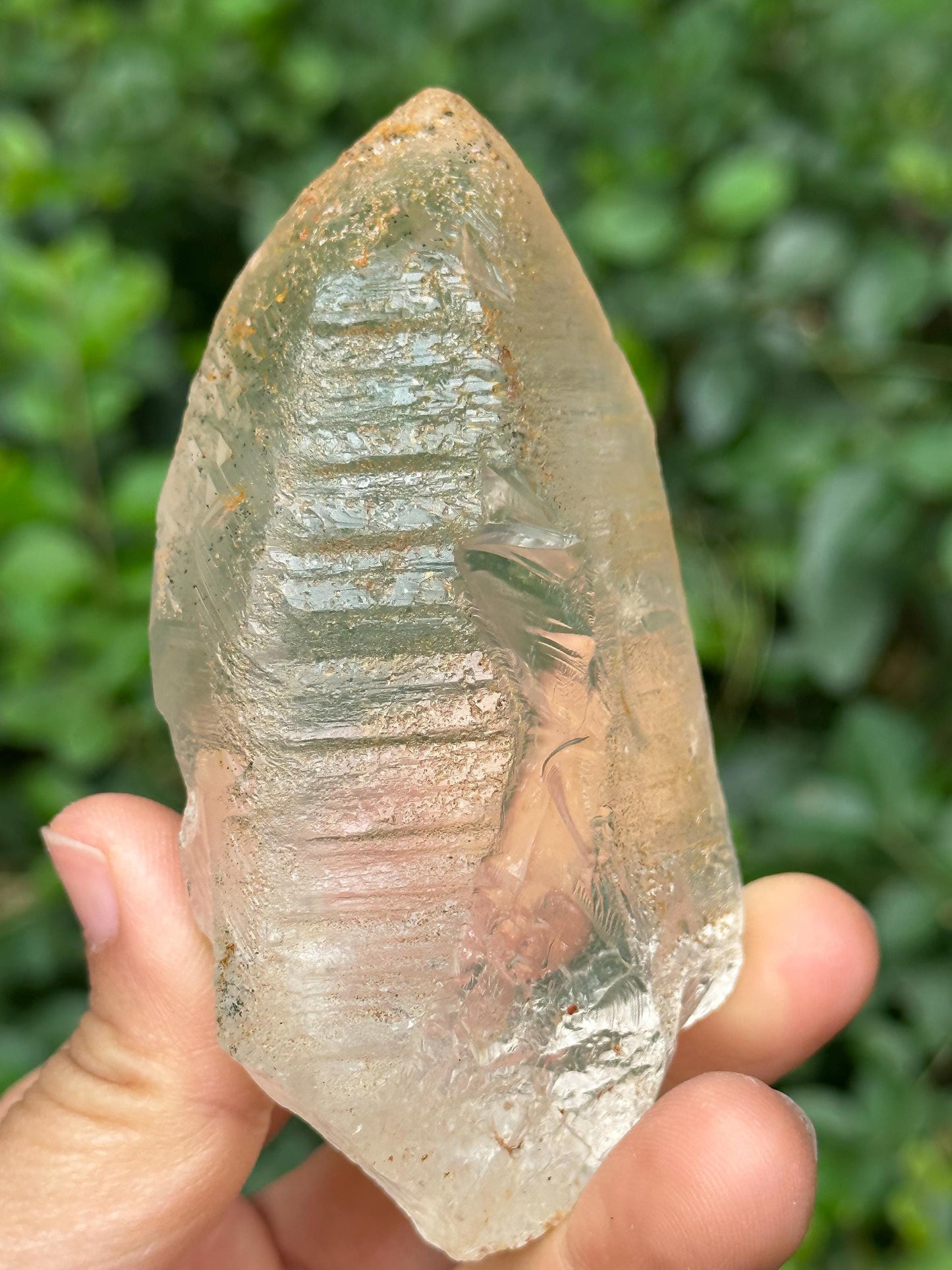 Clear Himalayan Record-keeper Nirvana Quartz Single Crystal/Energy Crystal/Reiki/Healing Crystal/Meditation/Crystal Collection-224 g