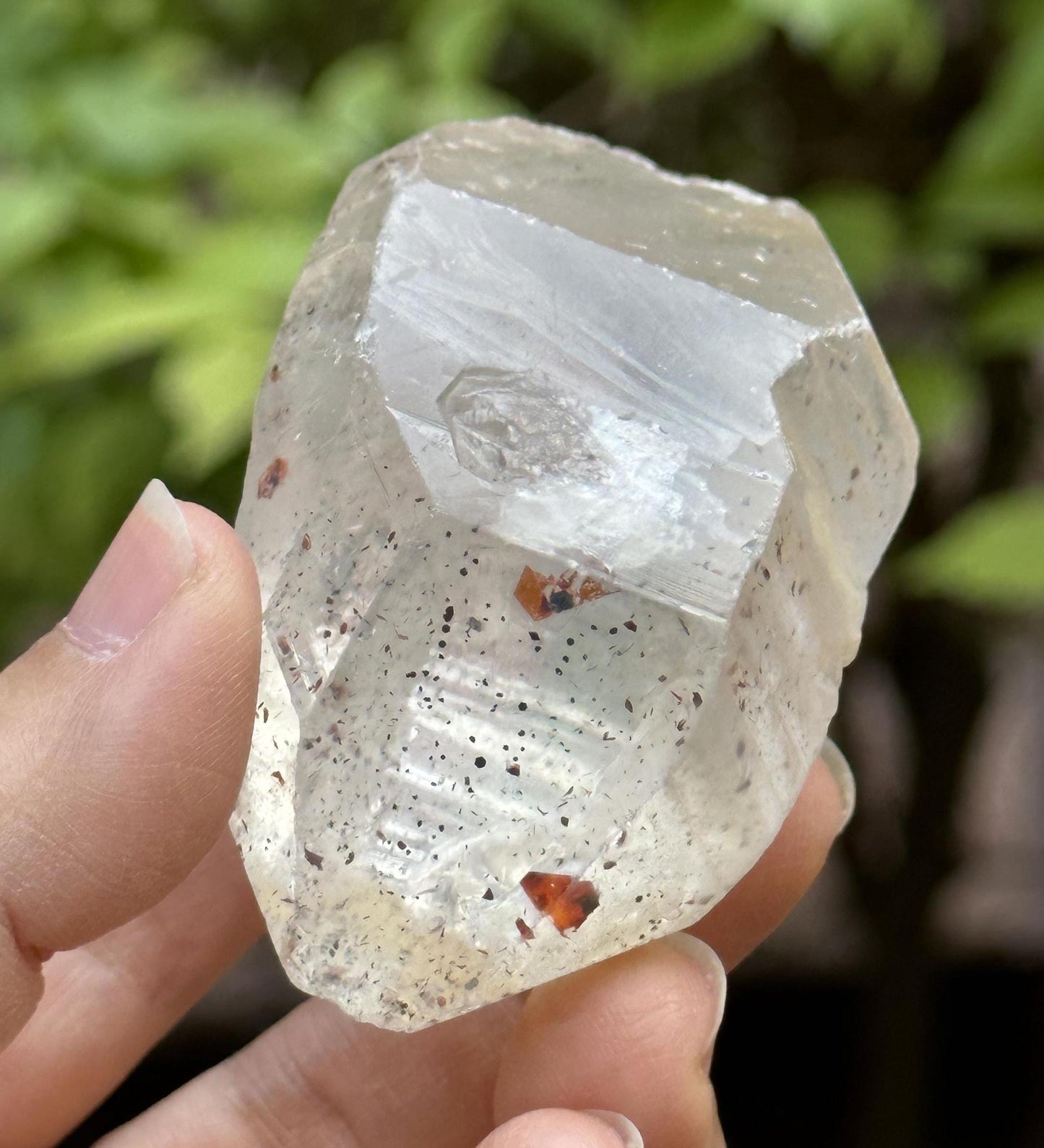 Clear Strawberry Crystal Double Terminated Quartz Crystal/Crystal Collection/Meditation/Reiki/Healing Crystal-123 g