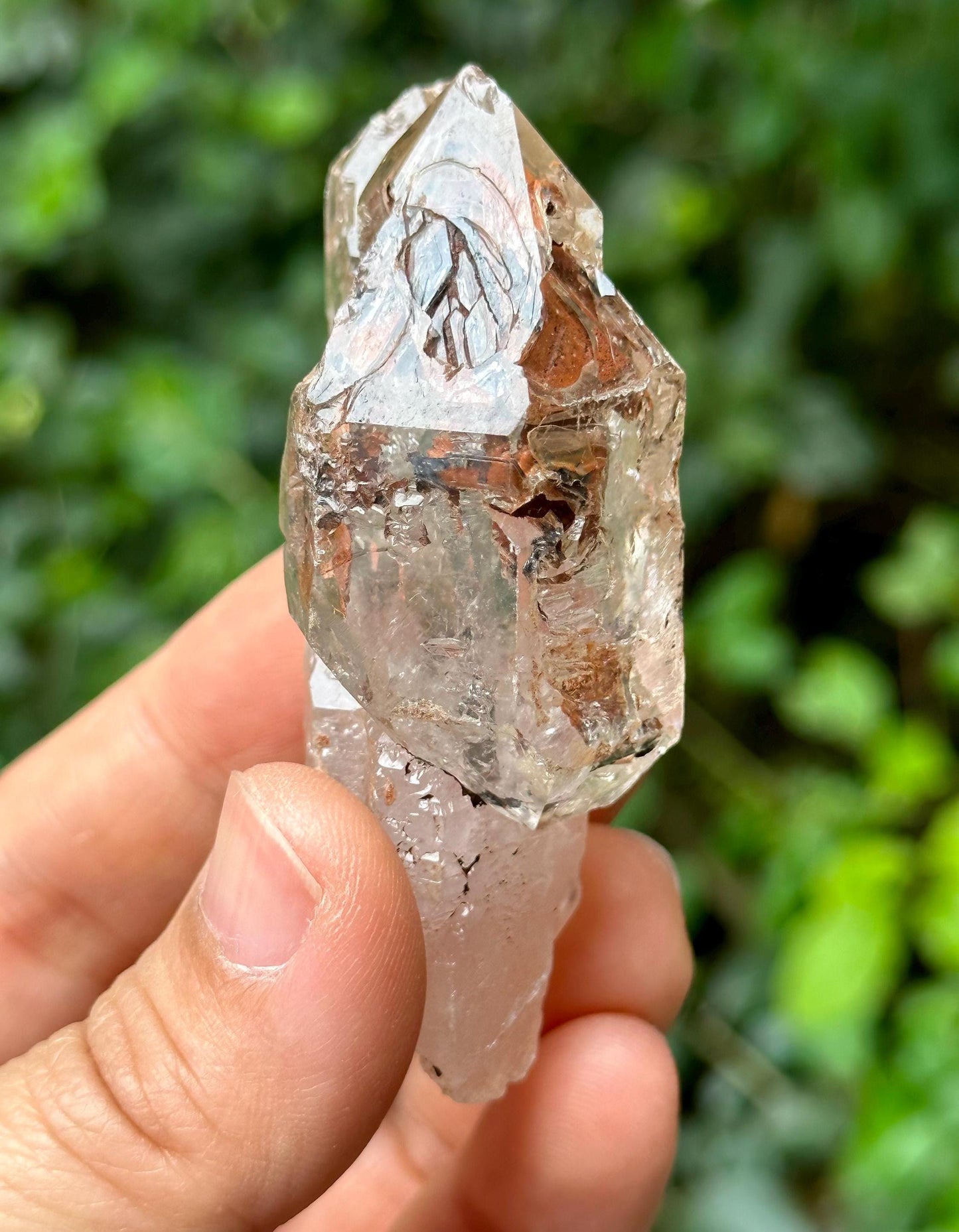 Tantric Twins Skeletal Quartz Scepter Fenster Crystal with Golden Clay/Crystal Specimen/Energy Healing Crystals/Meditation-56 g