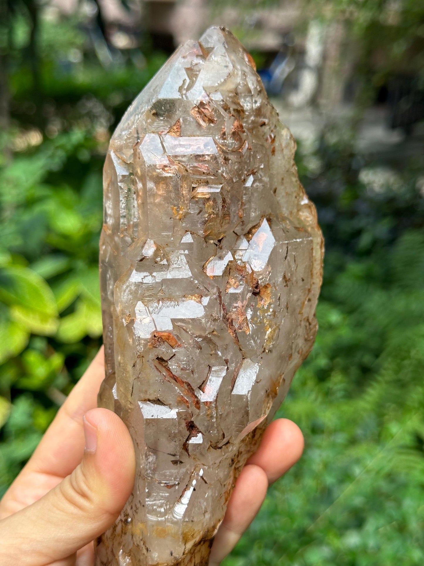 Rare Elestial Castle Skeletal Quartz Fenster Crystal with Golden Clay/Crystal Specimen/Energy Healing Crystals/Meditation-834 g