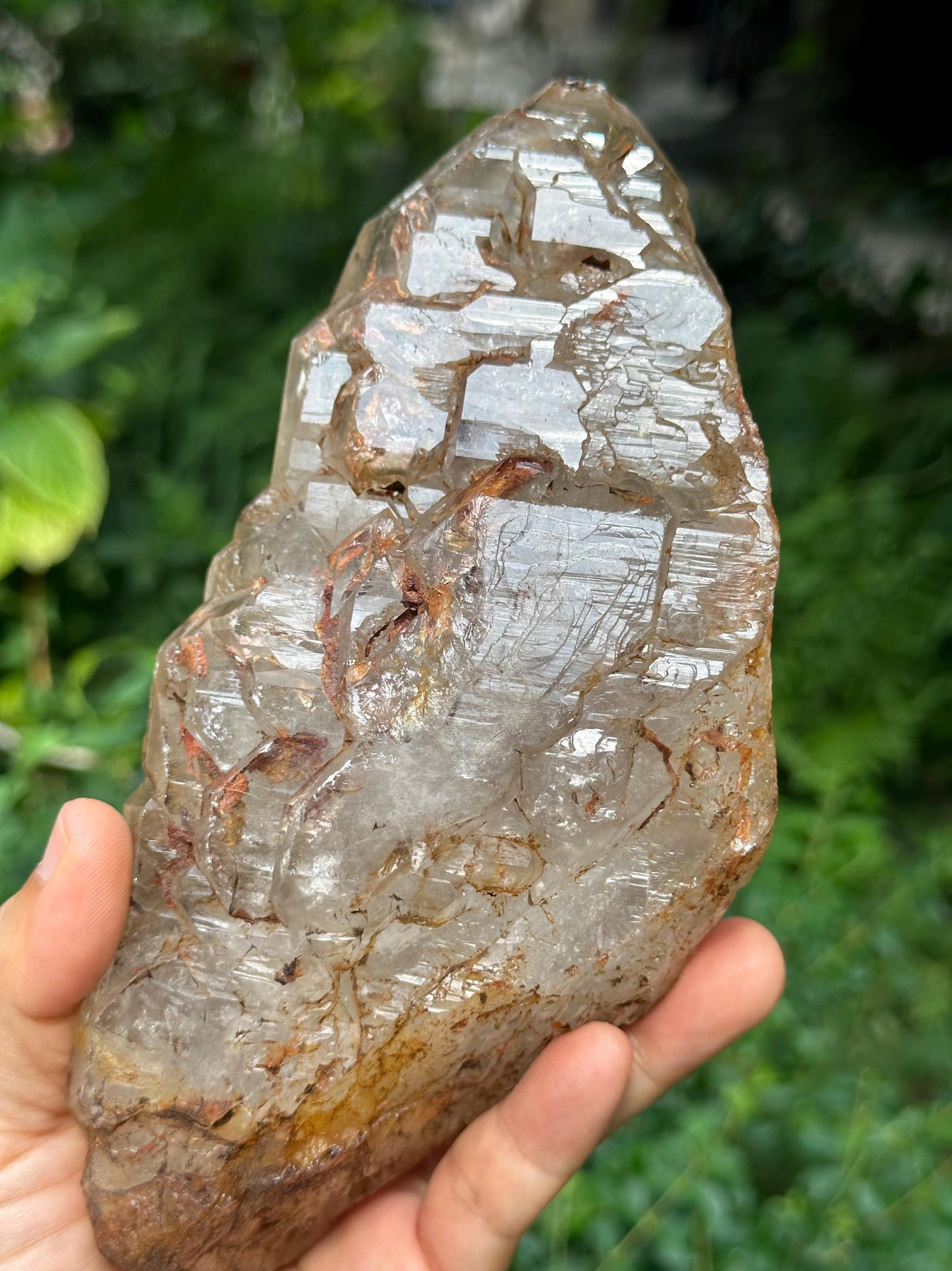 Rare Elestial Castle Skeletal Quartz Fenster Crystal with Golden Clay/Crystal Specimen/Energy Healing Crystals/Meditation-834 g